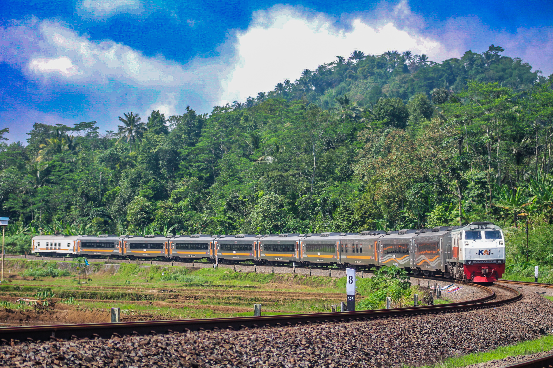 Kereta Sawunggalih meliuk tiber Patuguran