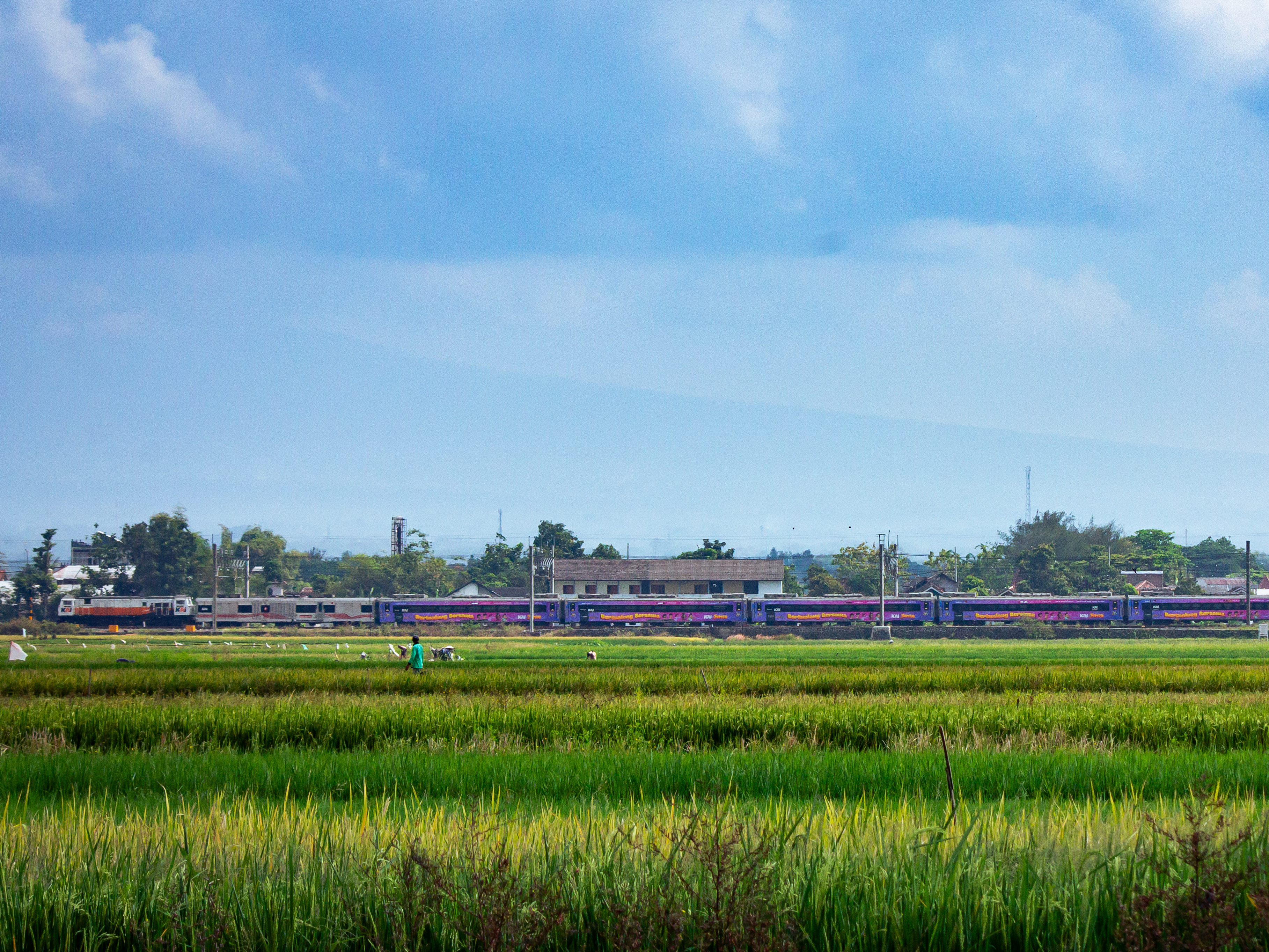 Melintasi area persawahan yang luas dengan latar belakang gunung yang tertutup oleh kabut