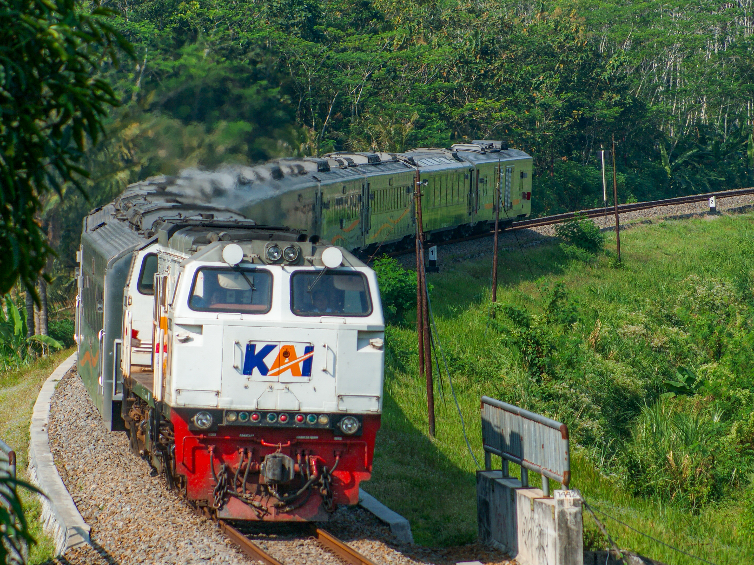 Menikung di rimba jawa
