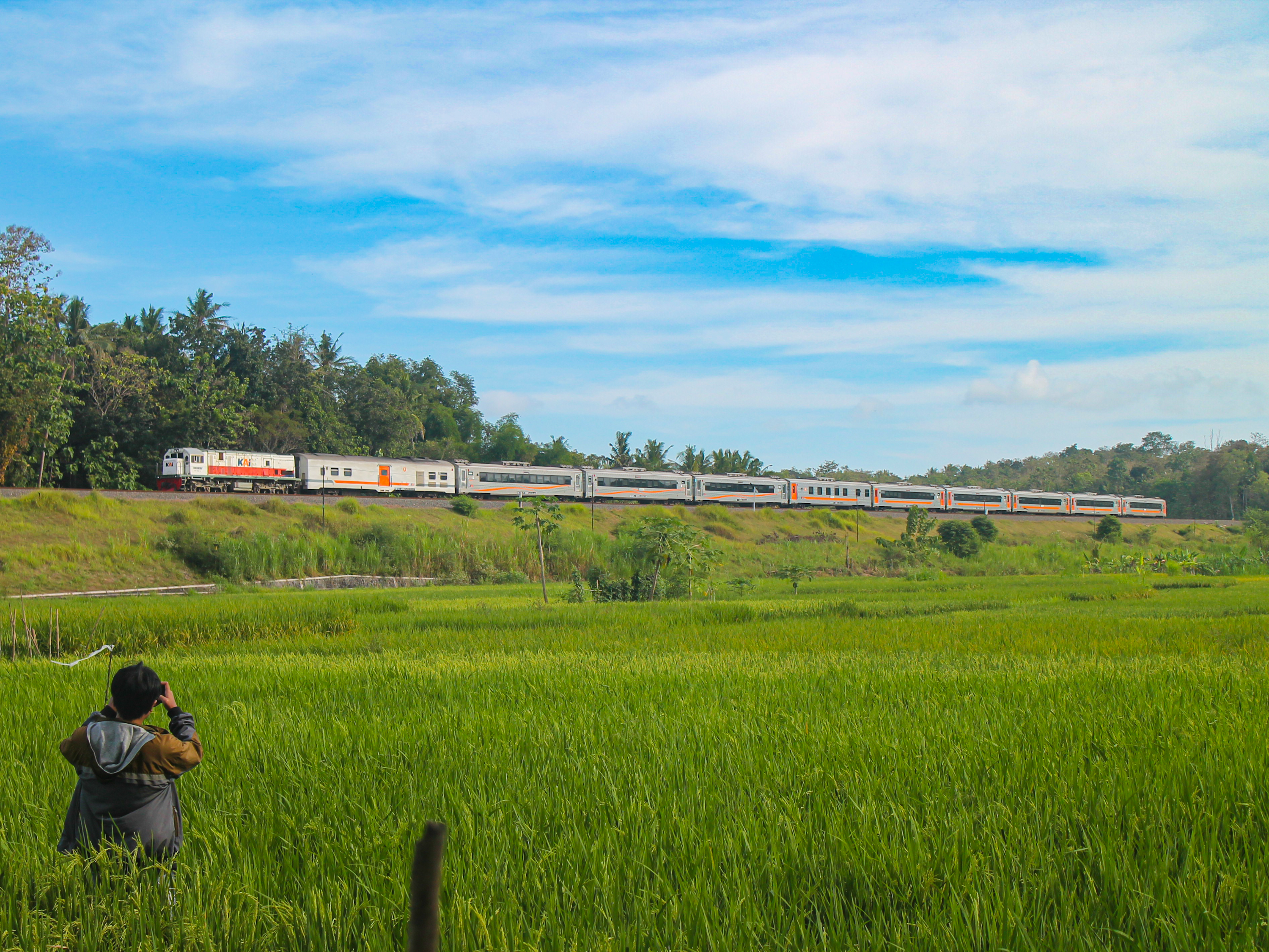 Kereta Gajahwong melintasi sawah daerah Banjaran, Sukoreno dengan salah satu railfans yang sedang mengabadikan