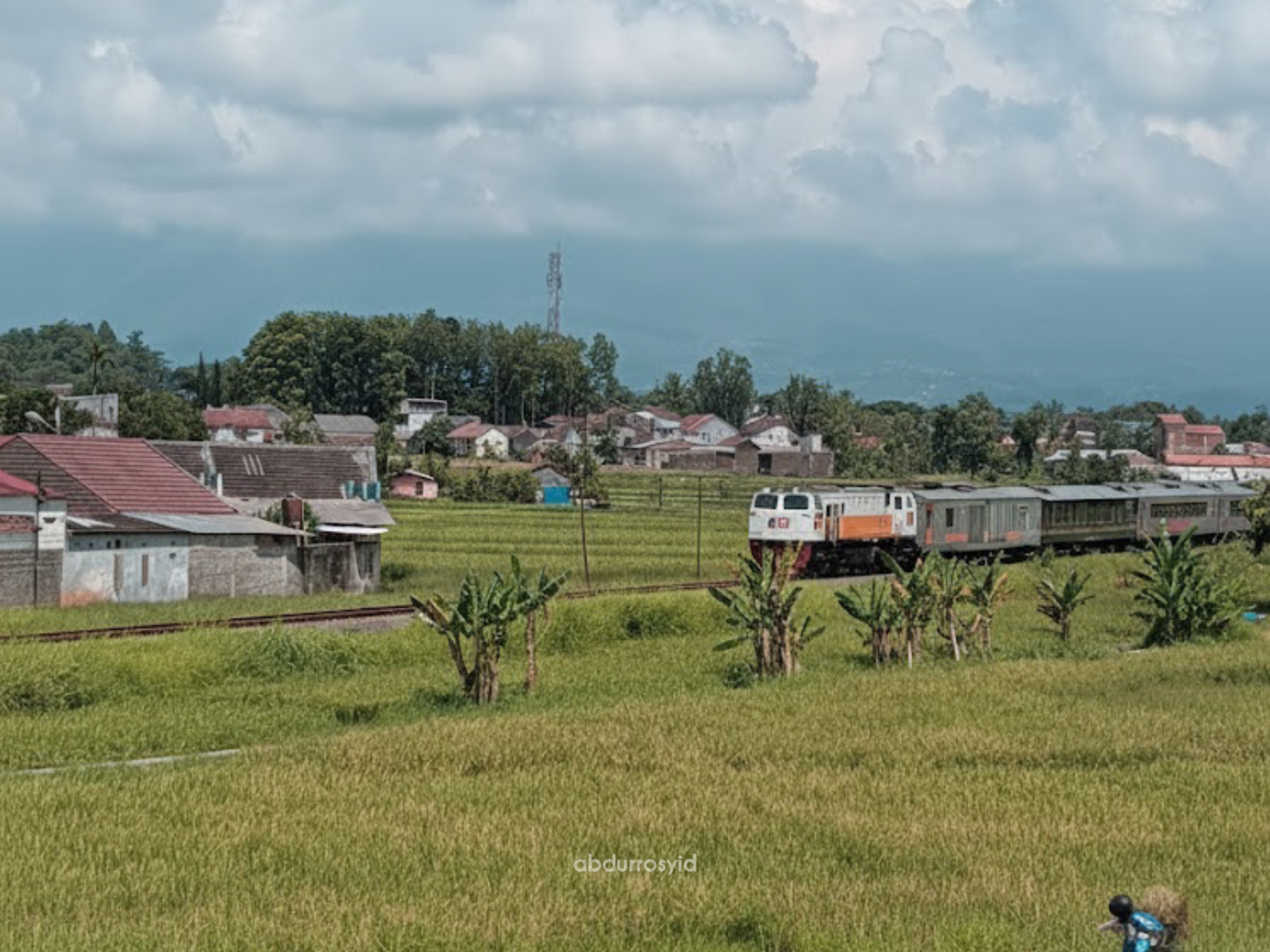 Kereta api Argo Wilis melintasi pesawahan di siang hari yang cerah