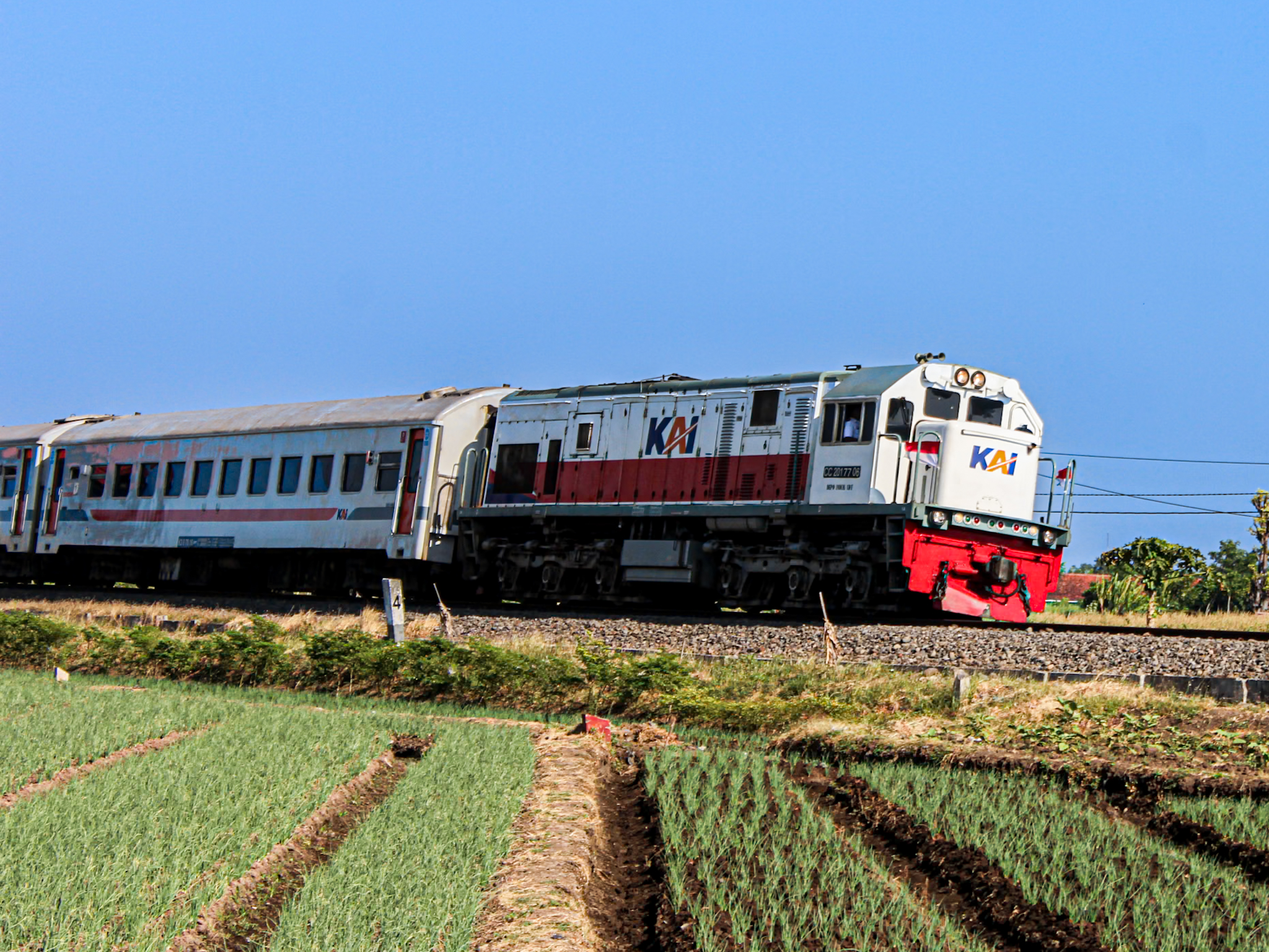 CC 201 SEDANG MENGHELA KA PROBOWANGI DENGAN BENDERA MERAH PUTIH YANG BERKIBAR