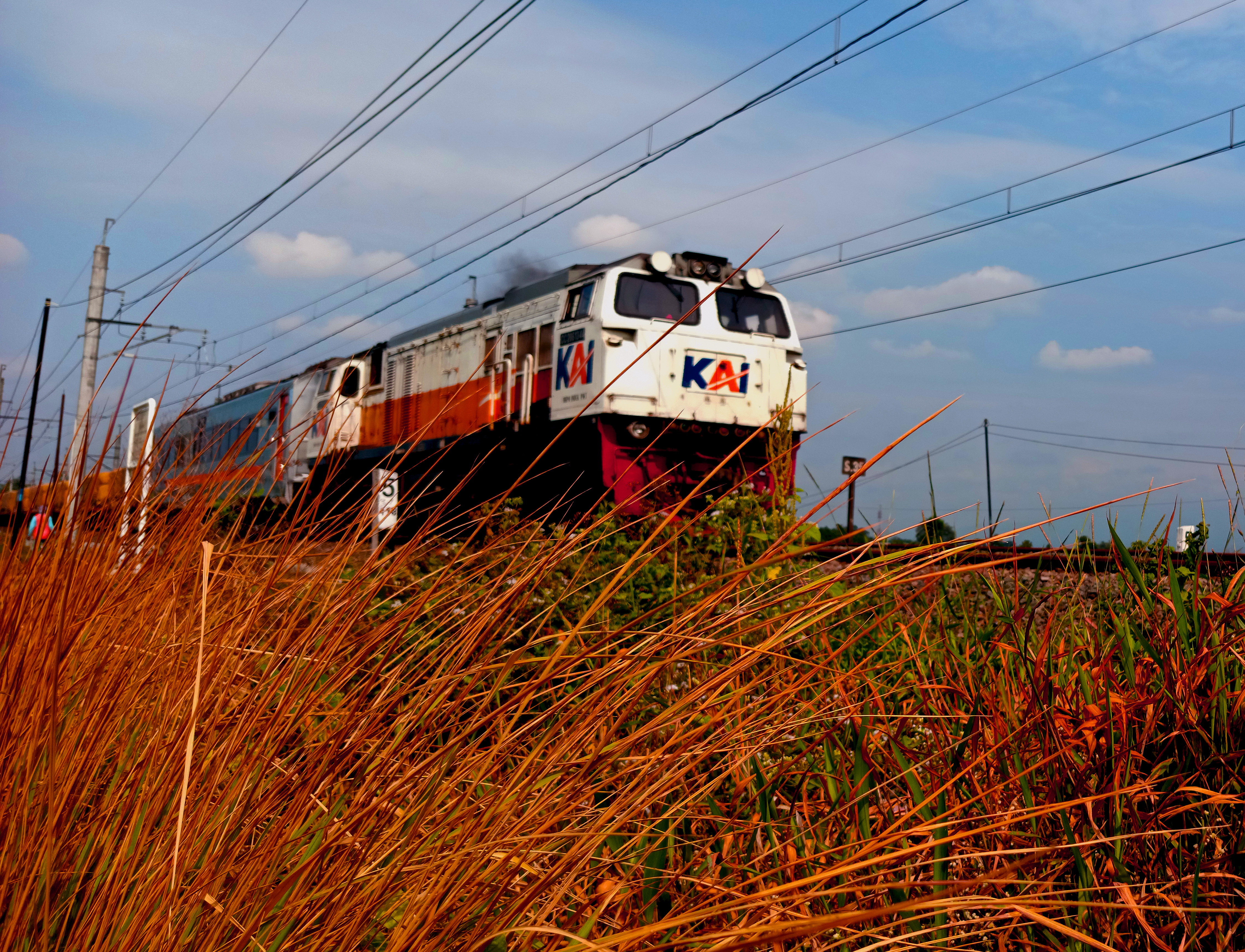 Meluncur di Antara Ilalang