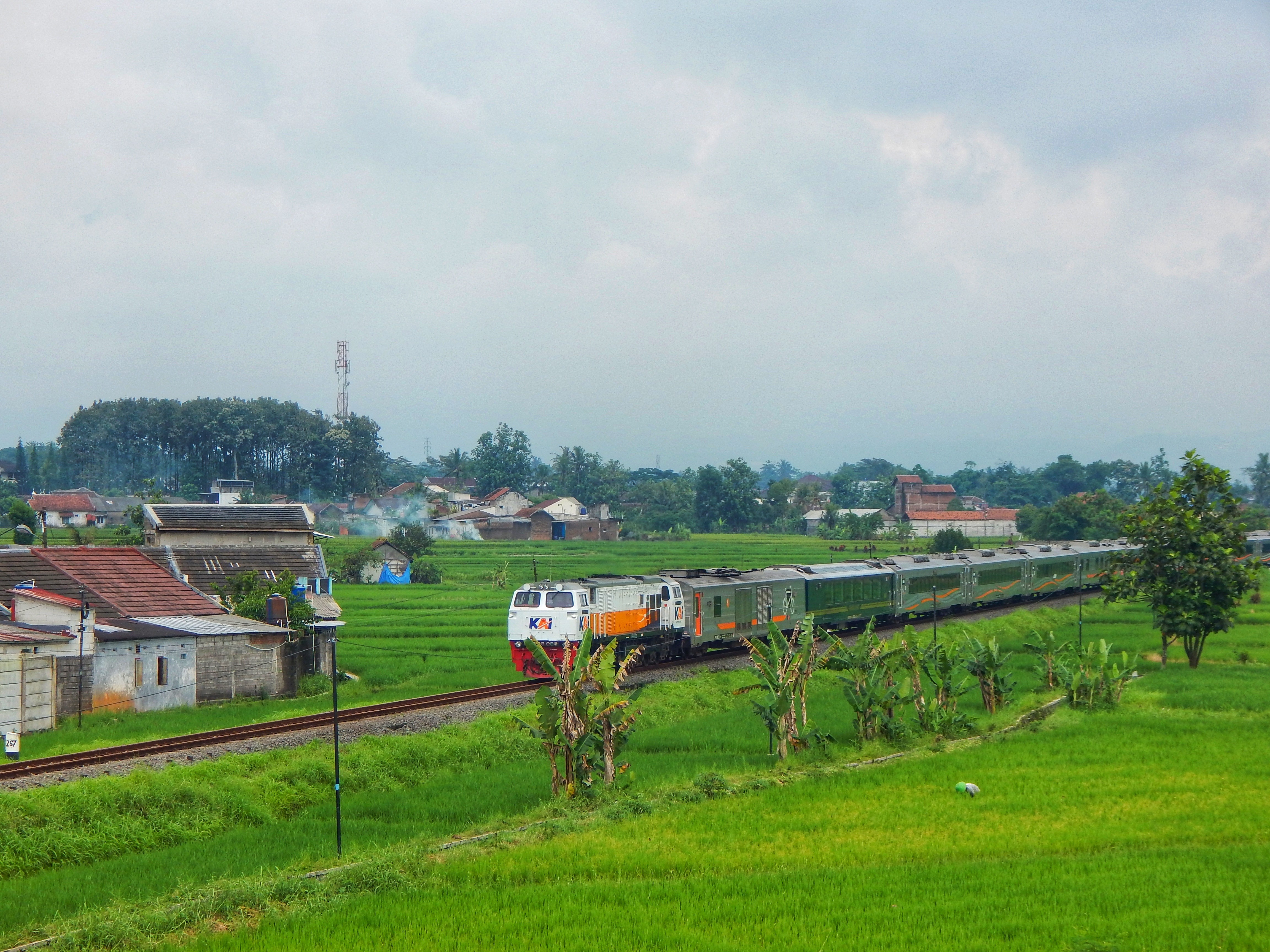 Raja Selatan Yang Sampai Saat Ini Belum Mendapatkan Rangkaian Baru Nya. Dikarenakan Rangkaian Barunya Sedang Di pakai Oleh Anak Emas KAI