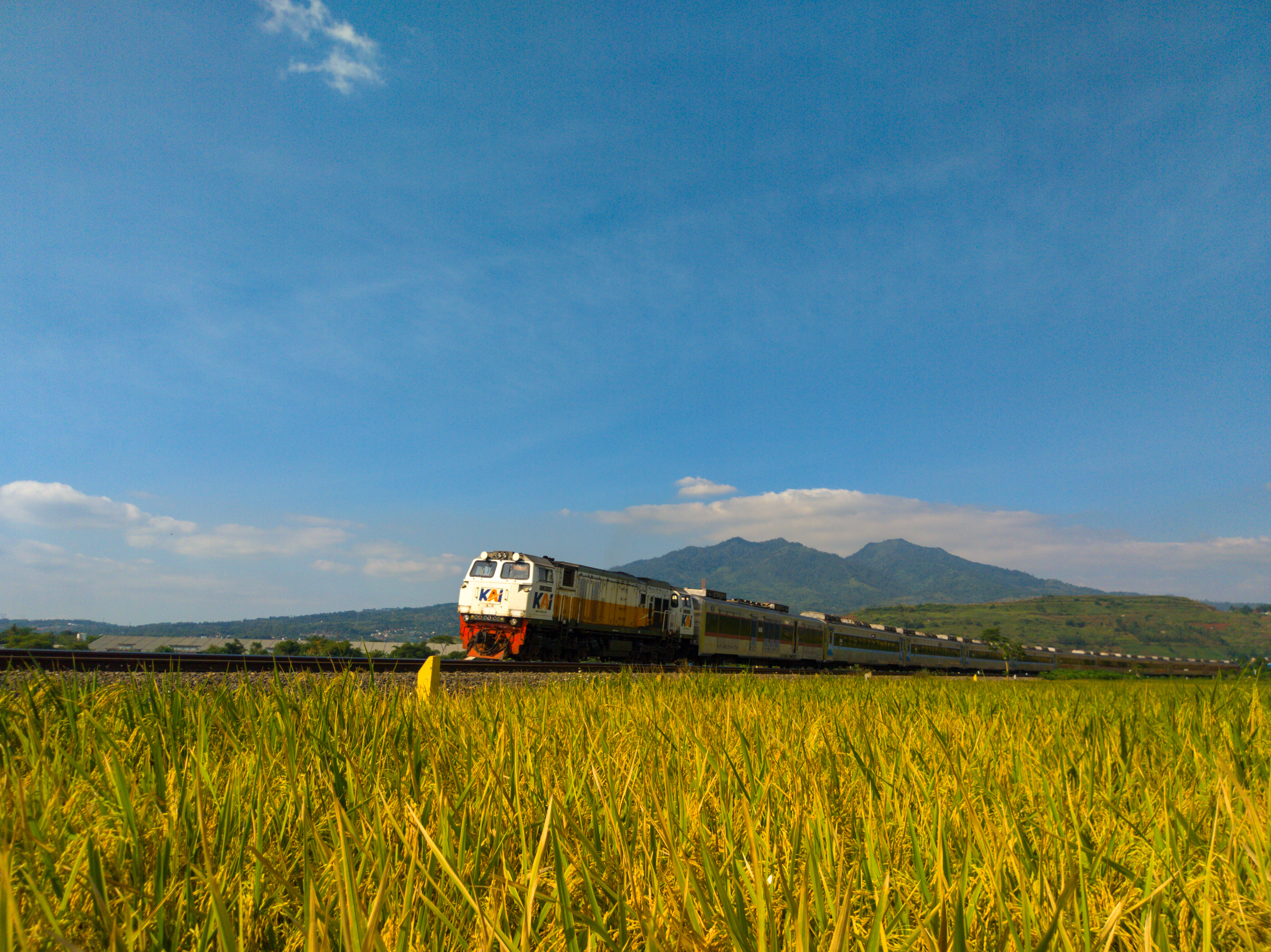 Kereta Lodaya Pagi (77) Melintasi Persawahan Di Tikungan Besar Cicalengka
