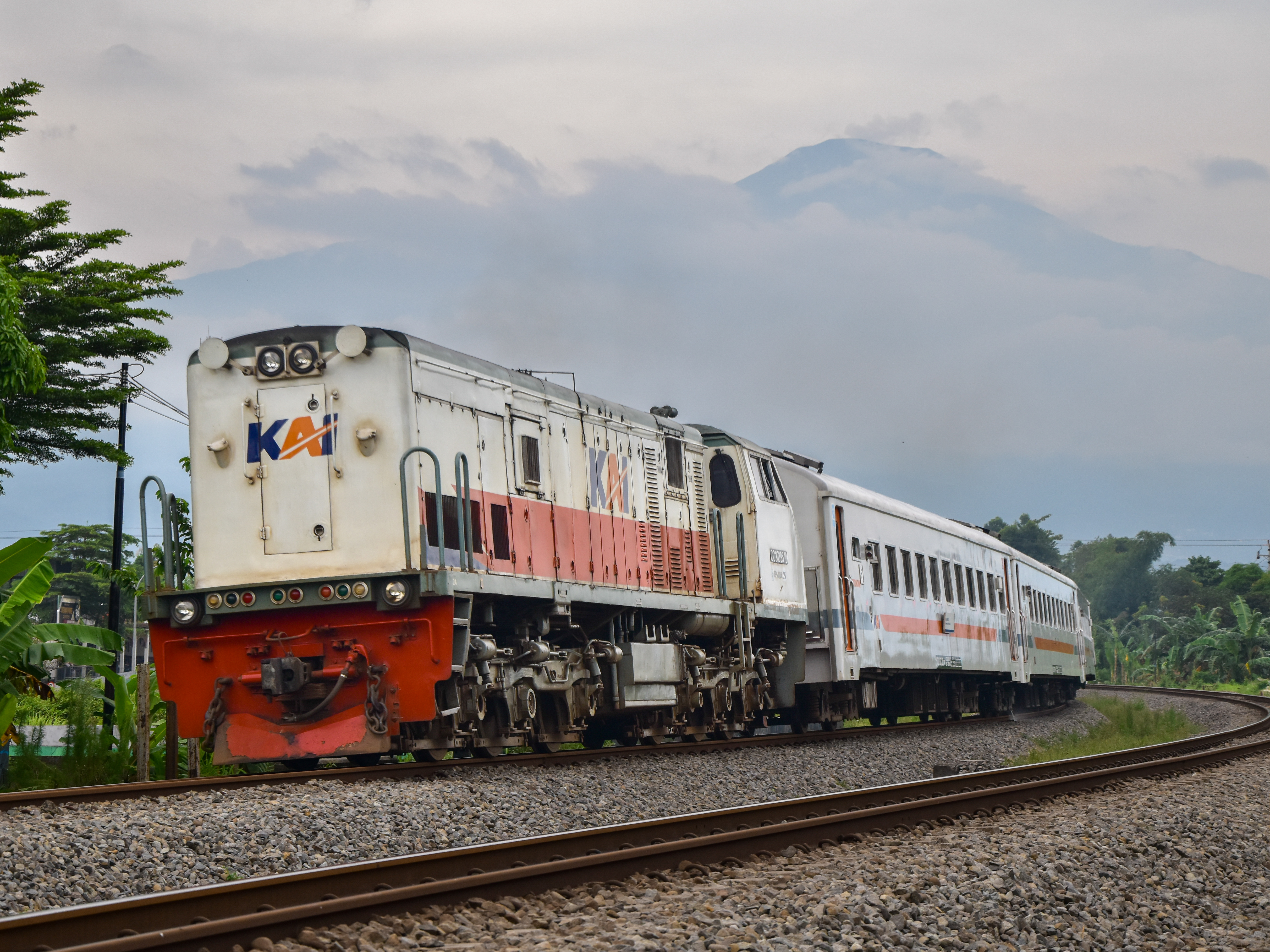 kereta api Serayu malam LH