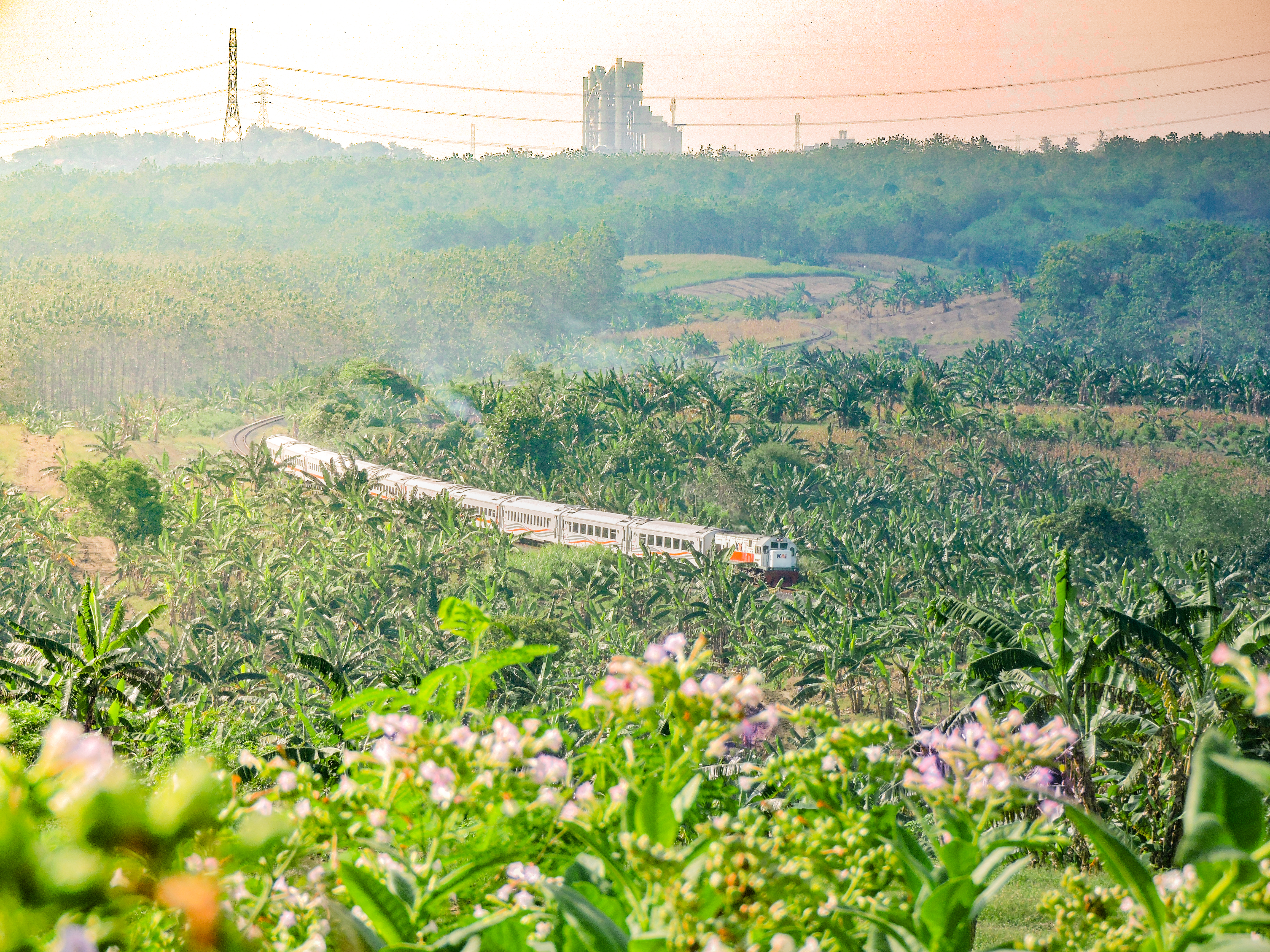 Sore nan hangat menyambut Kereta api Joglosemarkerto