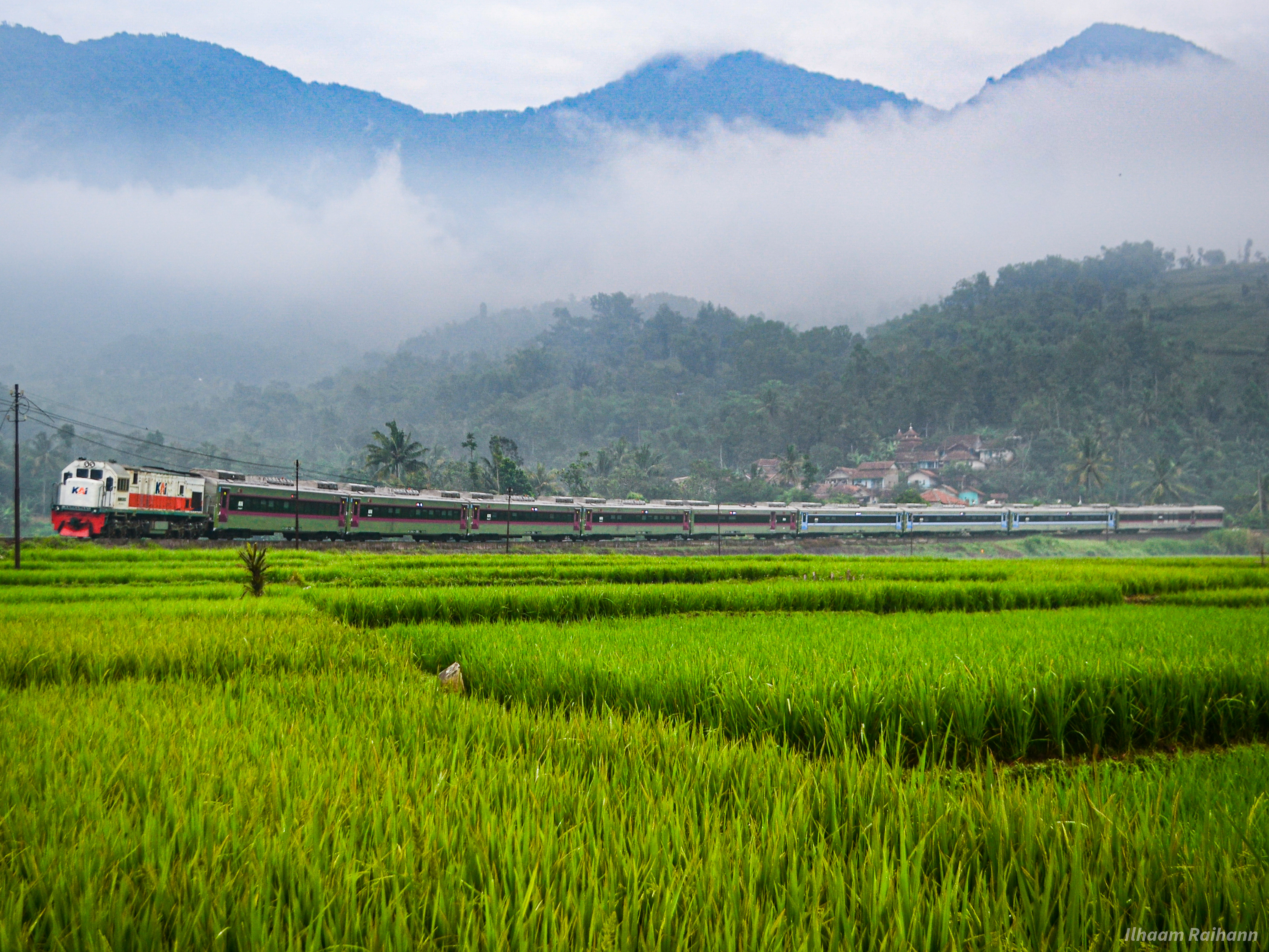 Kereta Api Lodaya Pagi melintas Tiber Kadungora