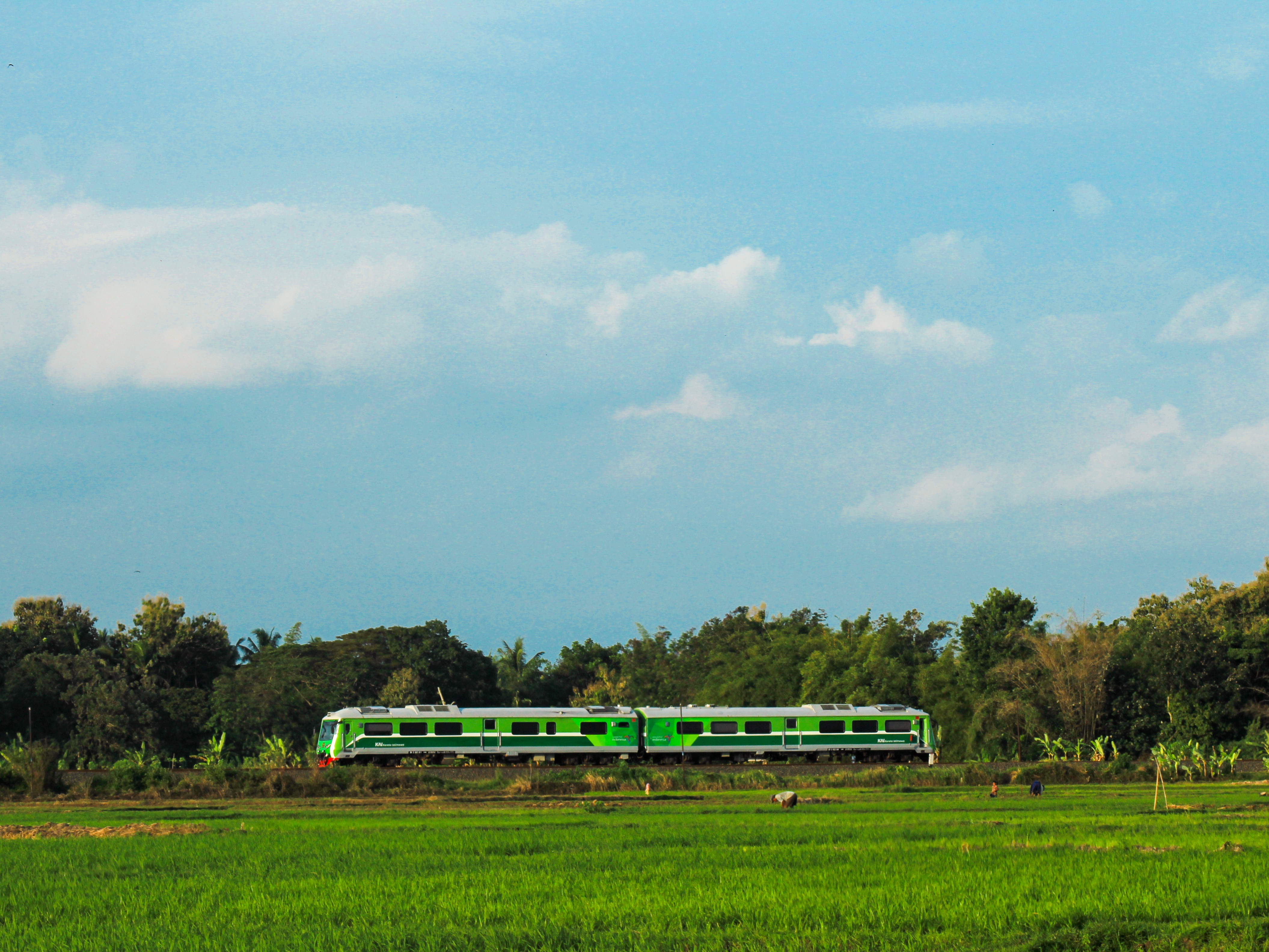 Istimewa Keretanya, Istimewa Pemandangannya!