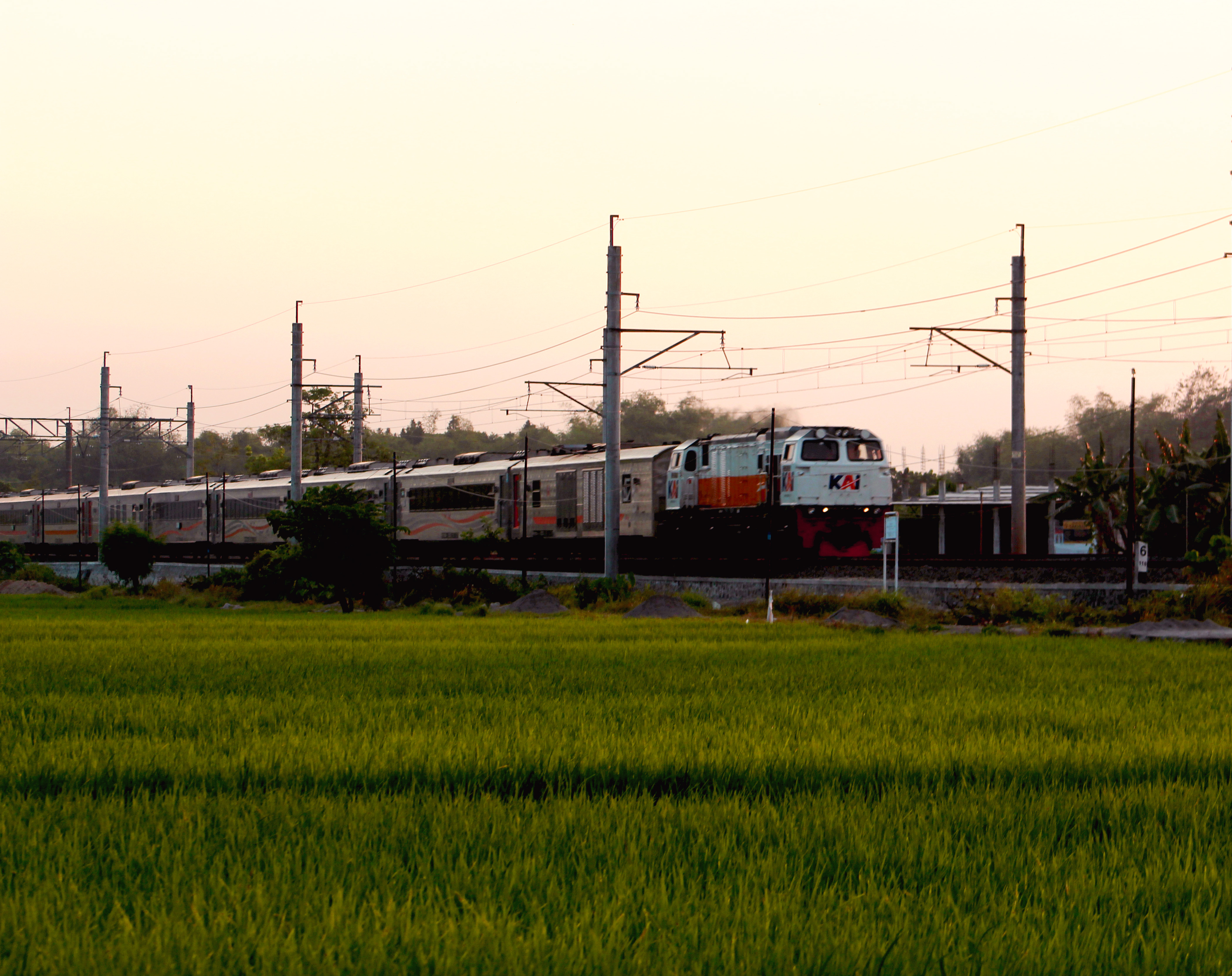 Menyusuri Persawahan Menjelang Senja