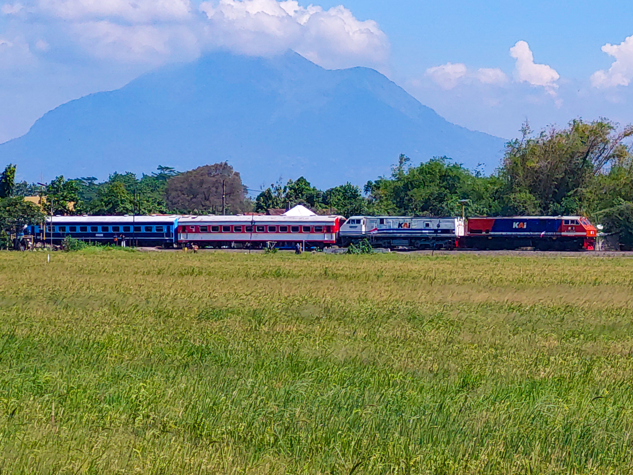 Warna-Warni di Tarik