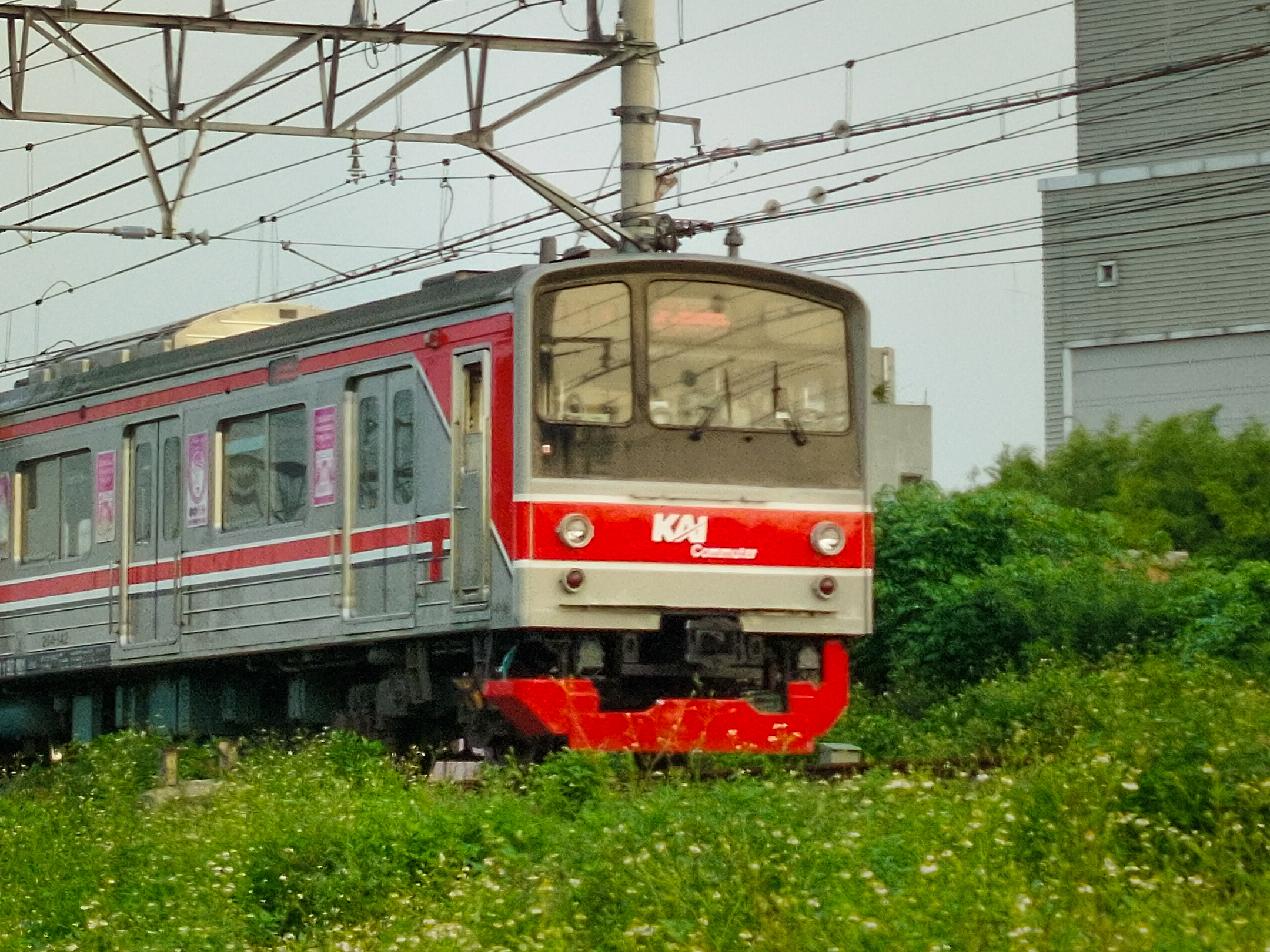 KRL melaju di antara rerumputan hijau