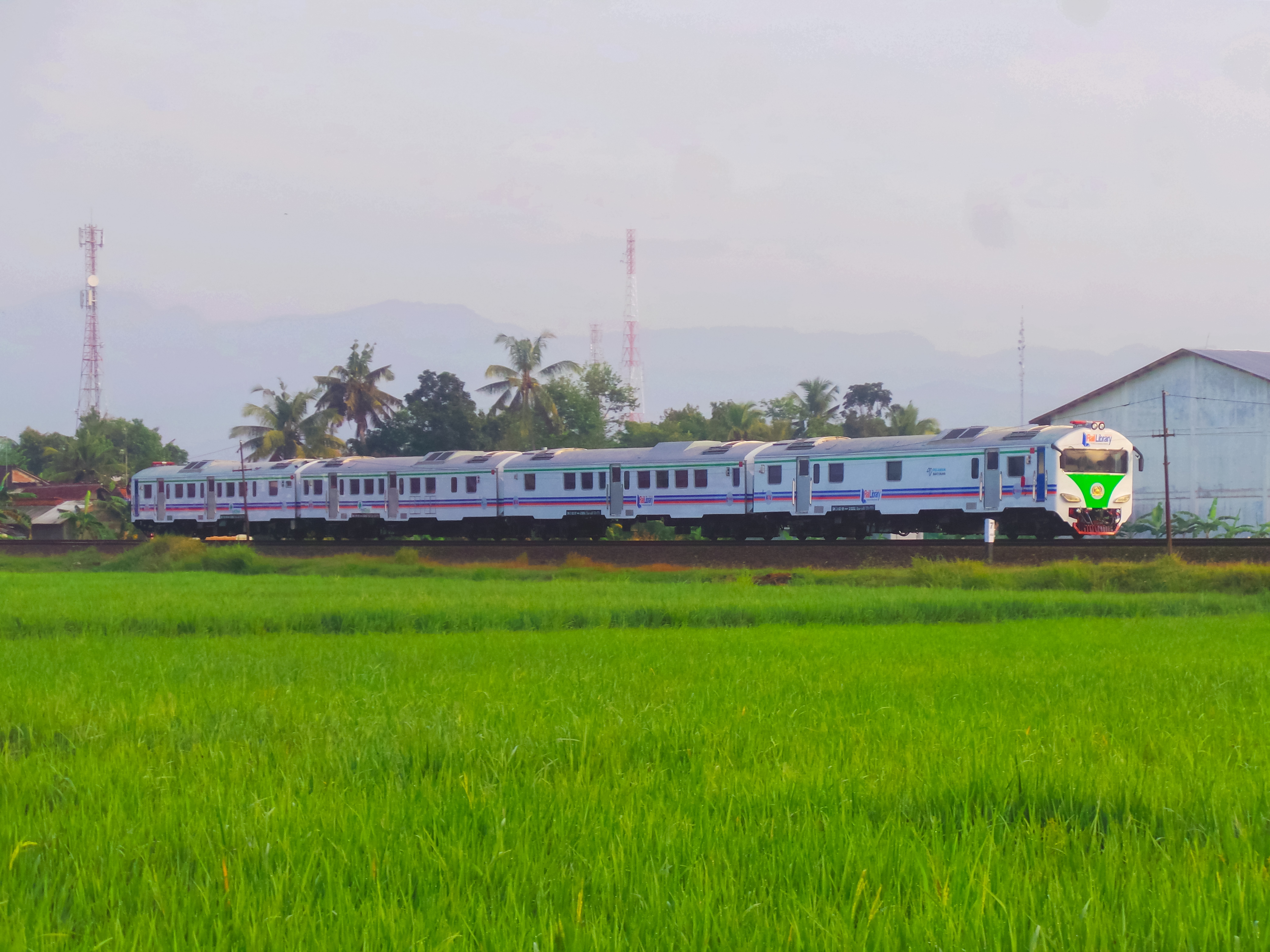 RailLibrary & RailClinic Melintasi Sawah Hijau