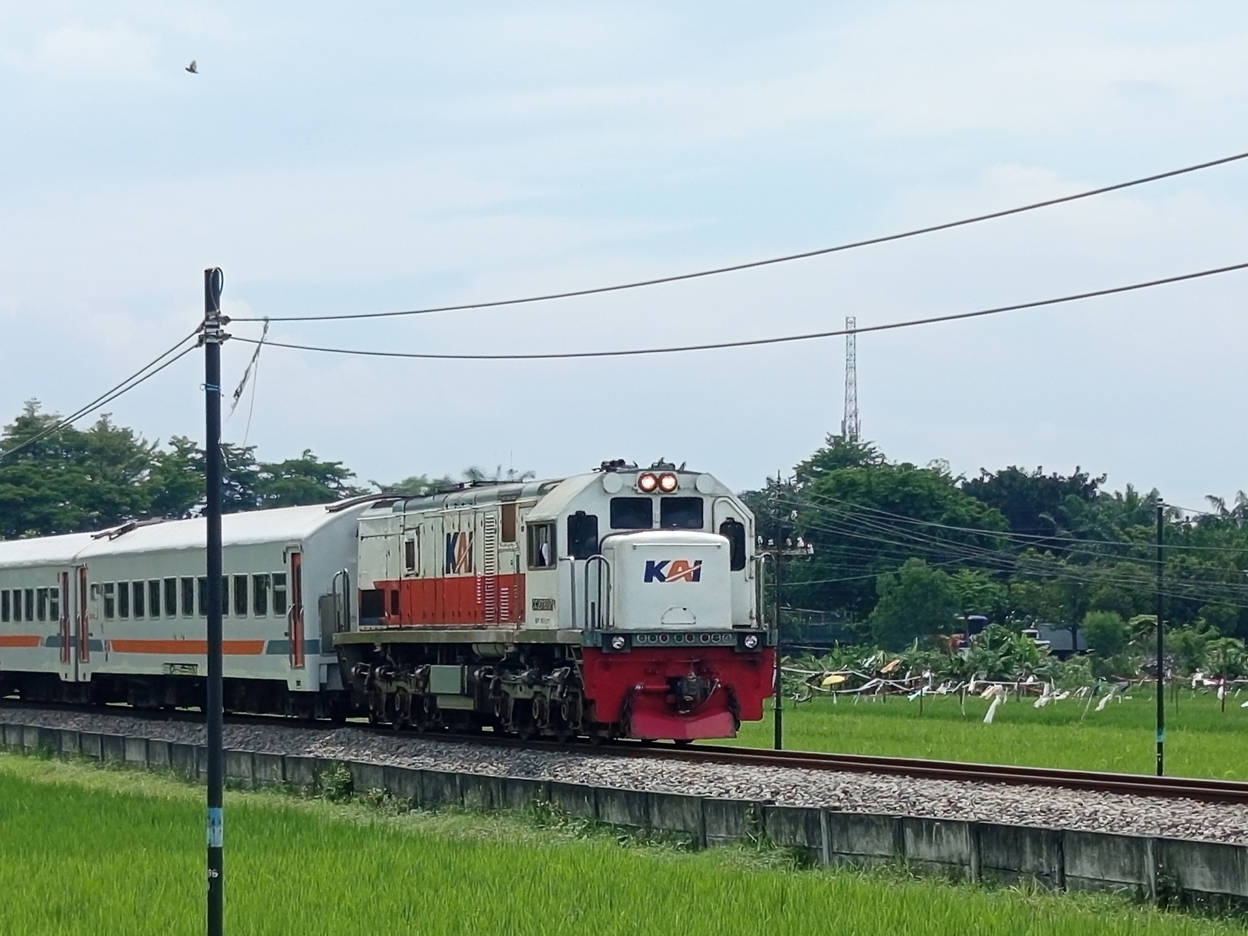 Sebuah kereta yg menerjang panasnya kota kediri