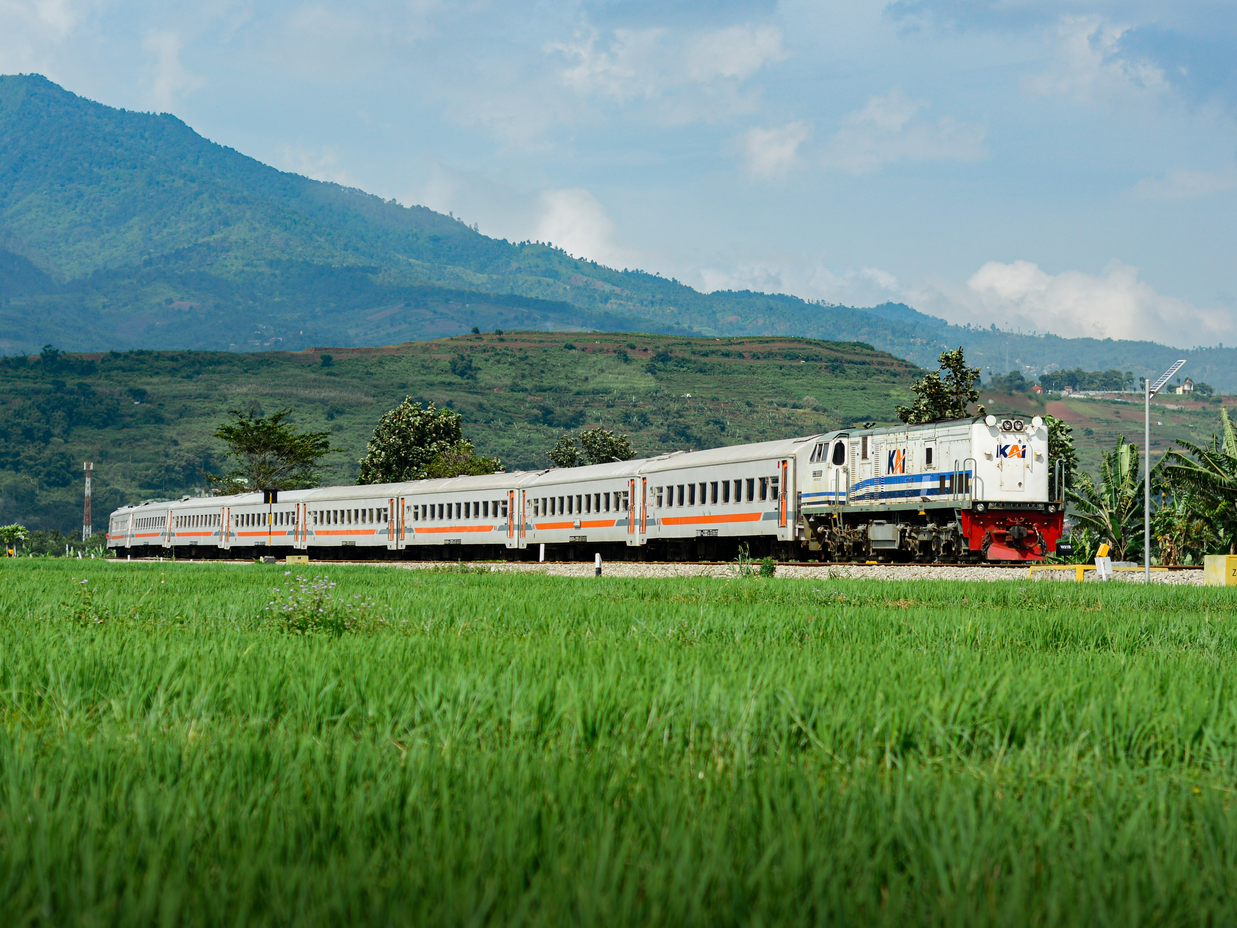 CC 203 40 - KA Lokal Bandung Raya melewati persawahan Cicalengka