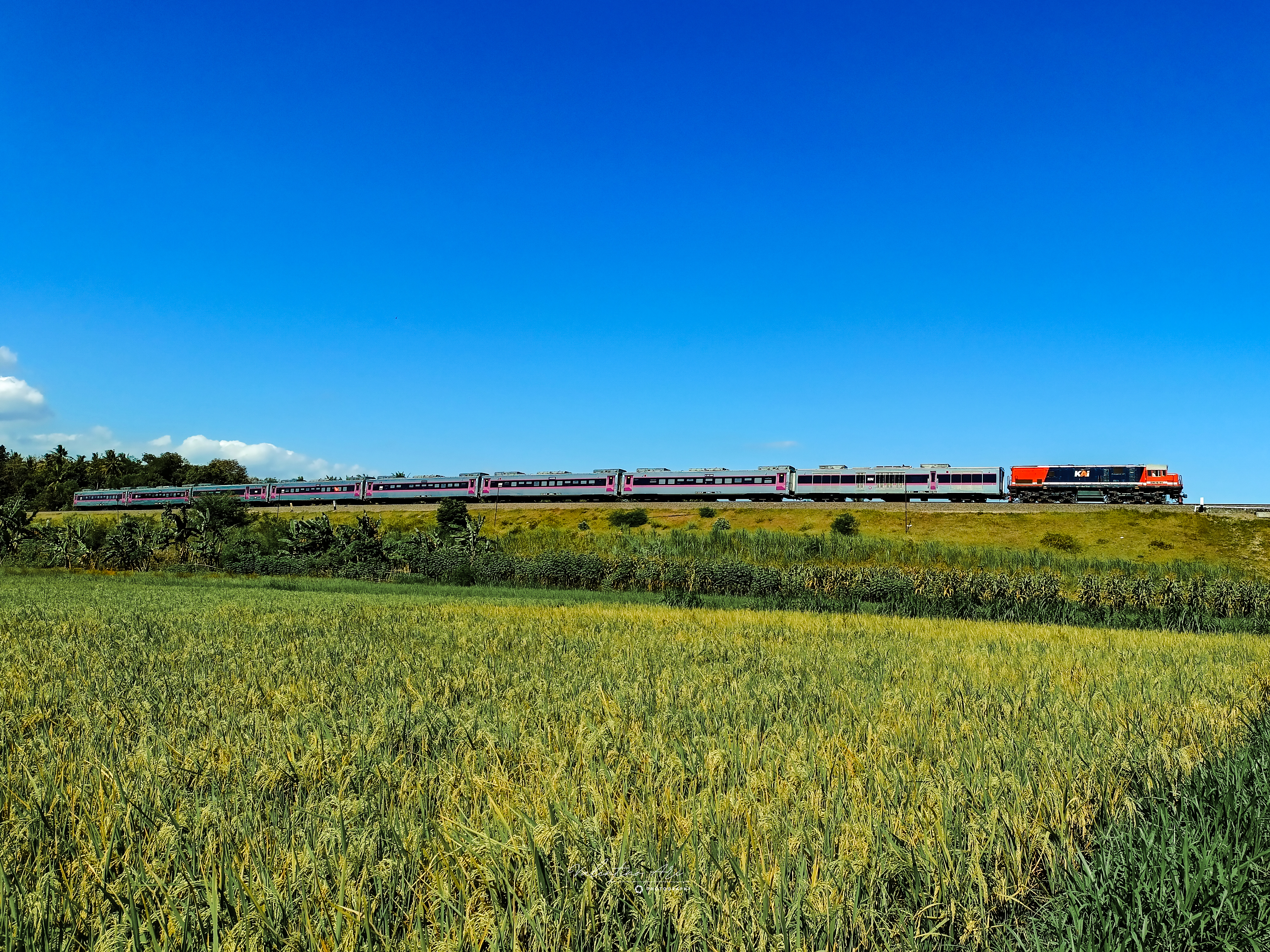 Langit biru mengiringi perjalanan KLB PT. MNK dengan lokomotif merah.