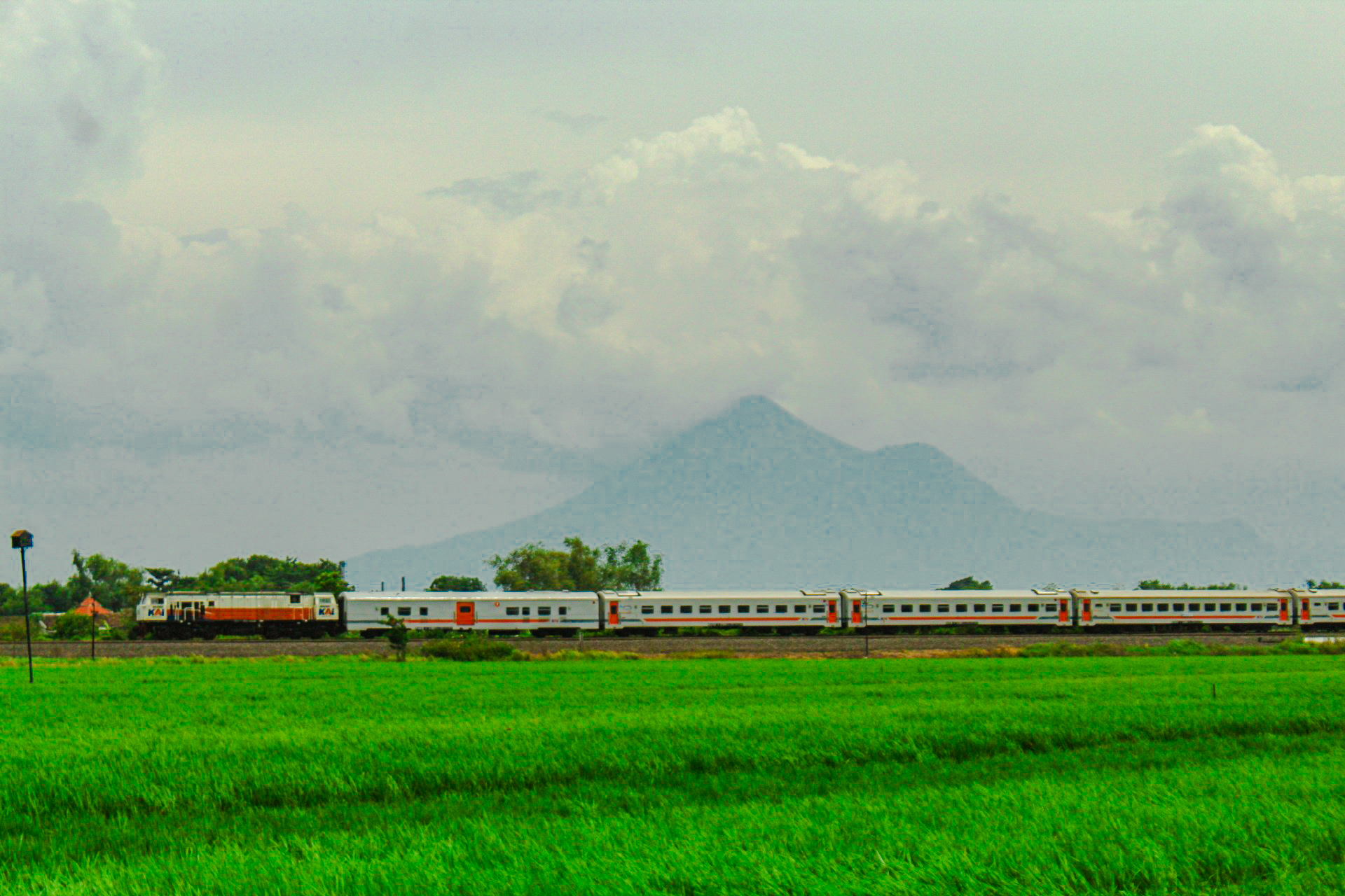 Diantara sawah dan gunung