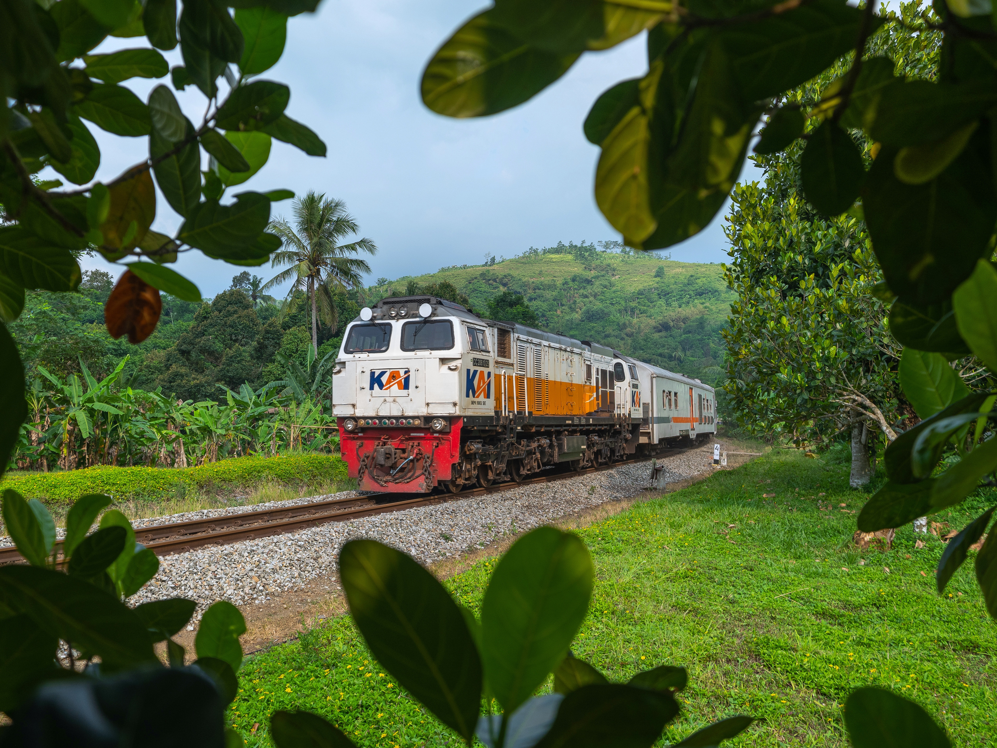 Menembus Hijau Nusantara