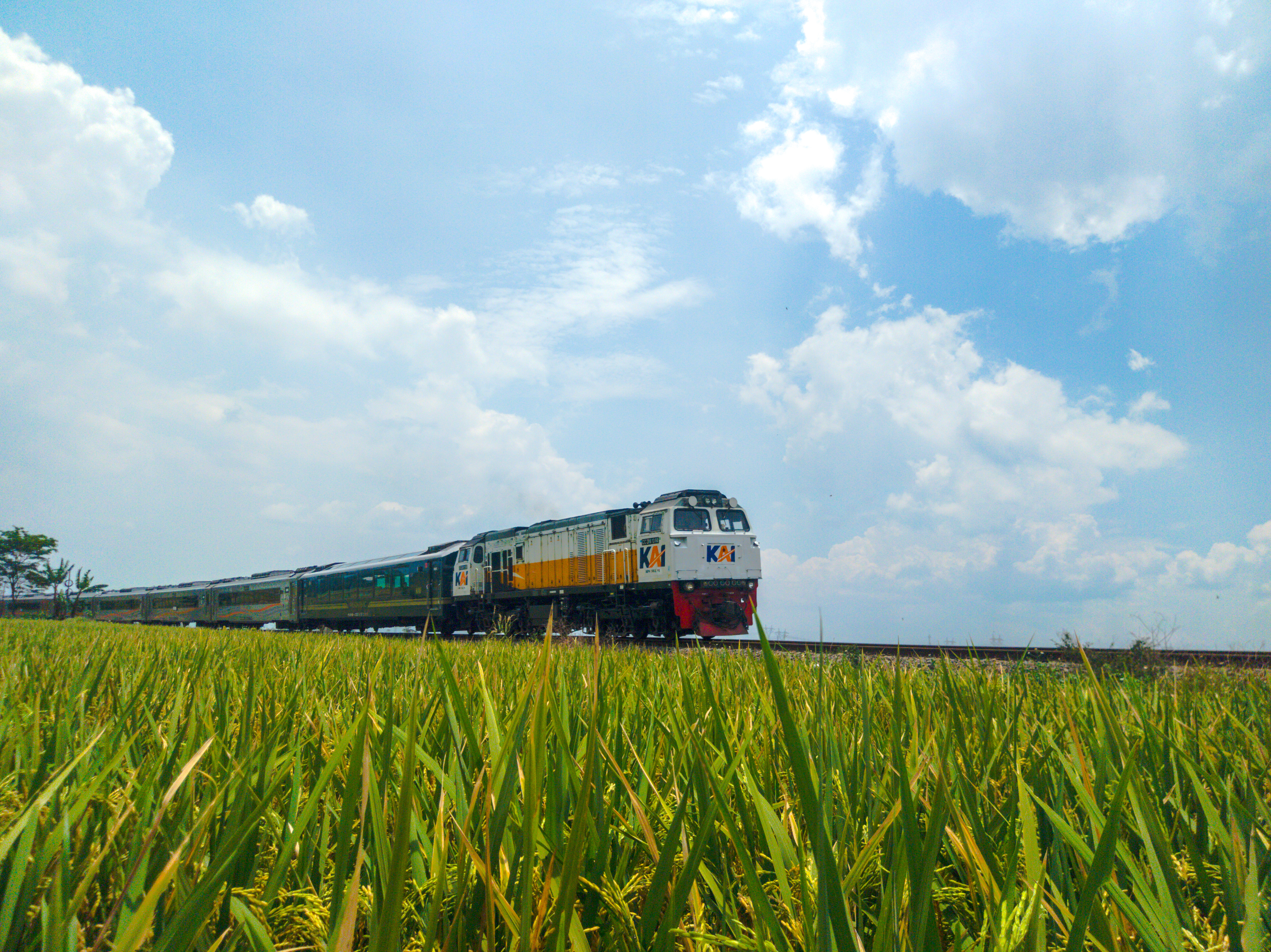 Kereta Pangandaran (128) Melintasi Persawahan Di Tikungan Besar Cicalengka