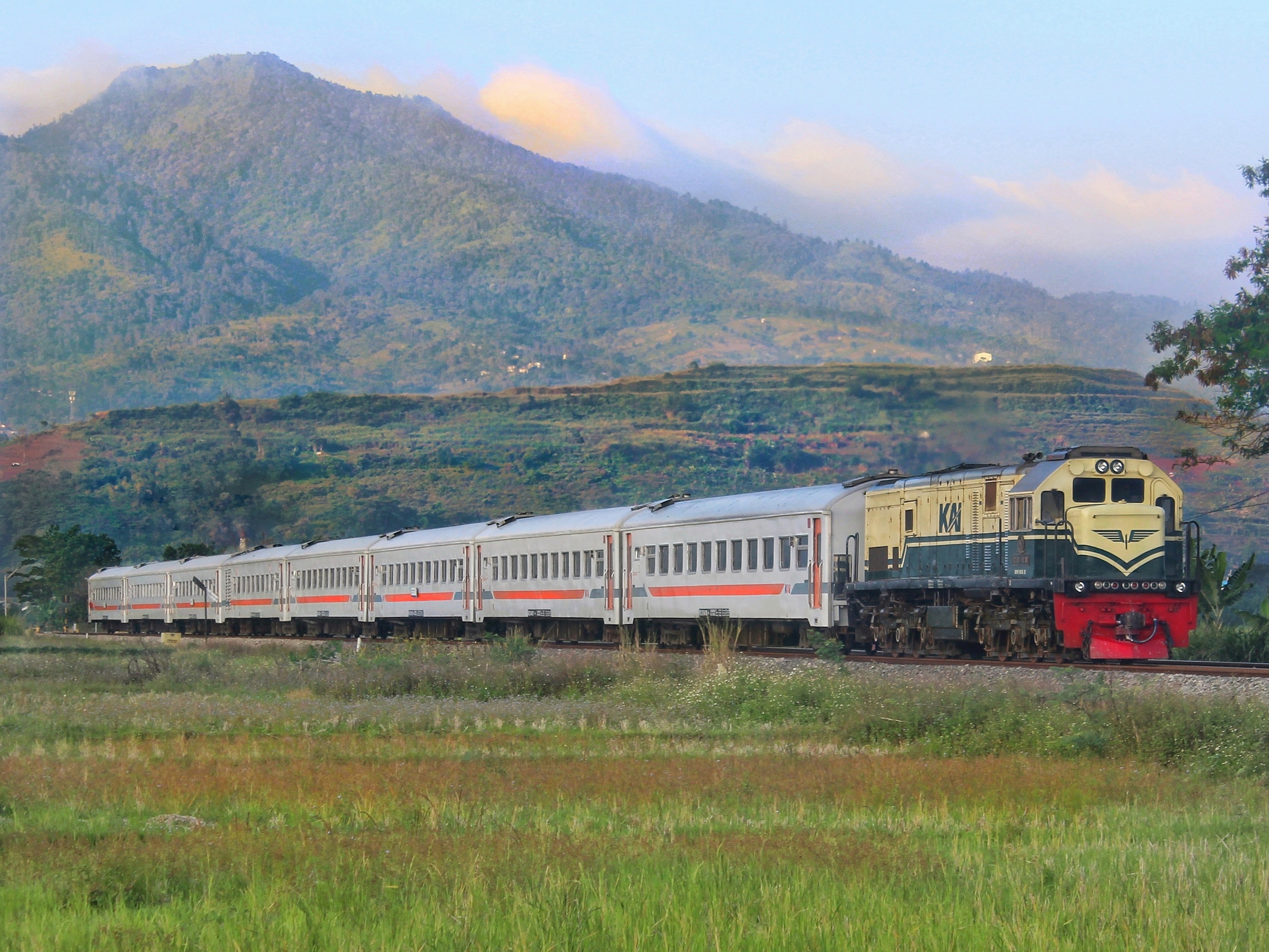 Moment KA Kutojaya Selatan melintas di hamparan sawah Cicalengka