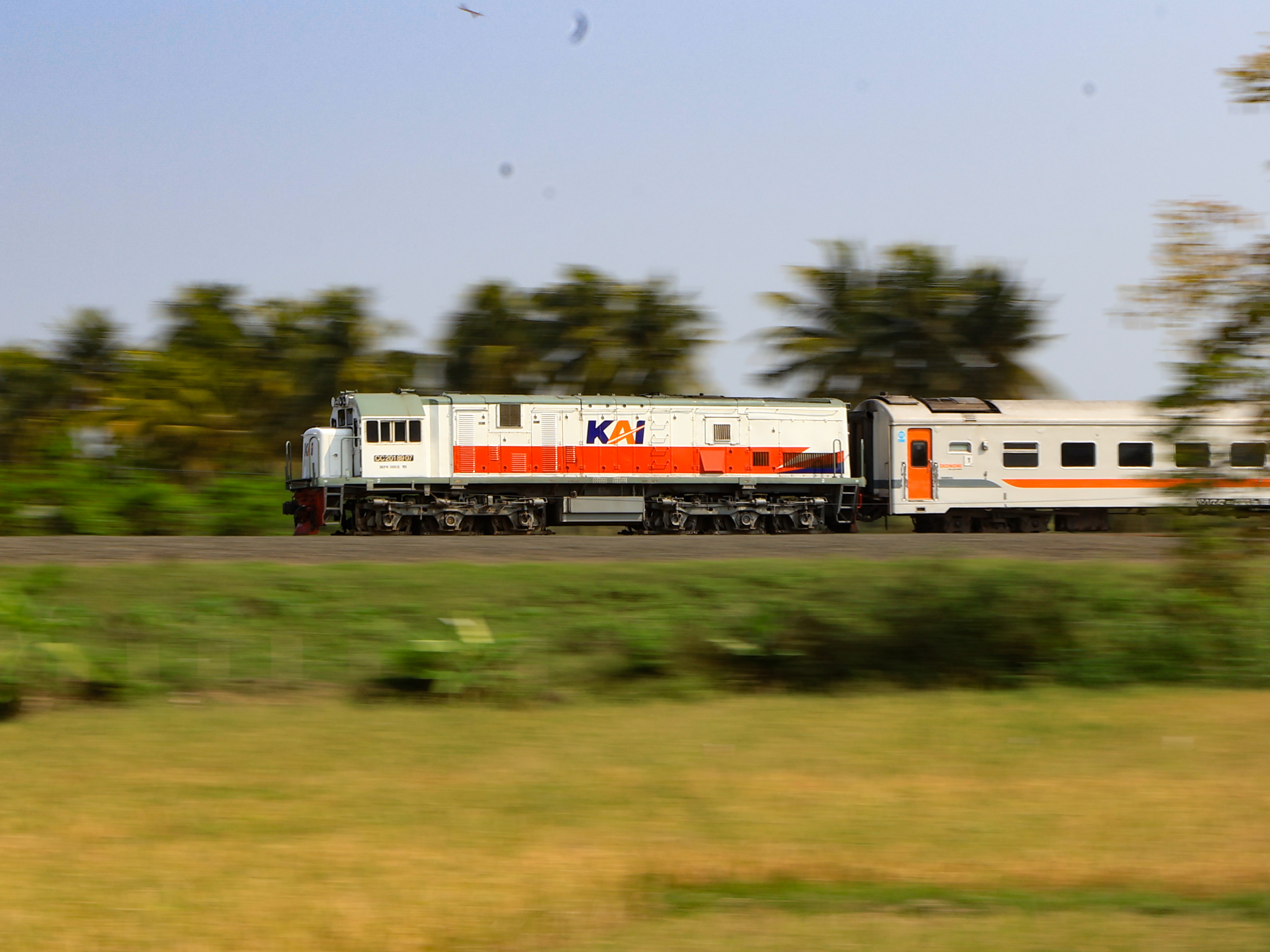 Kereta Api Dengan Lokomotif CC 201 89 07 Melesat di Persawahan Petak Rewulu