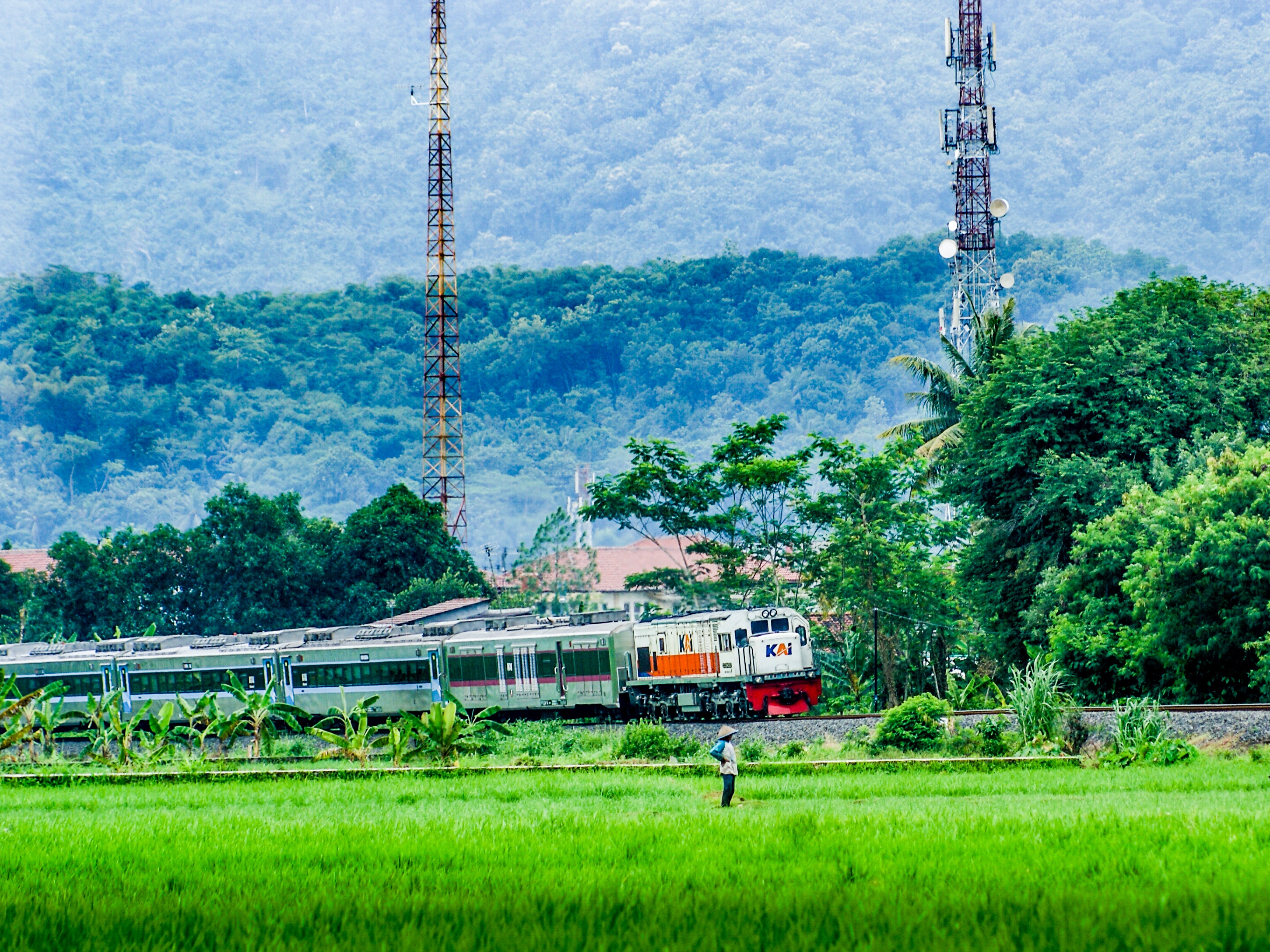 Saksi Bisu Kehidupan: Petani dan KA Lodaya