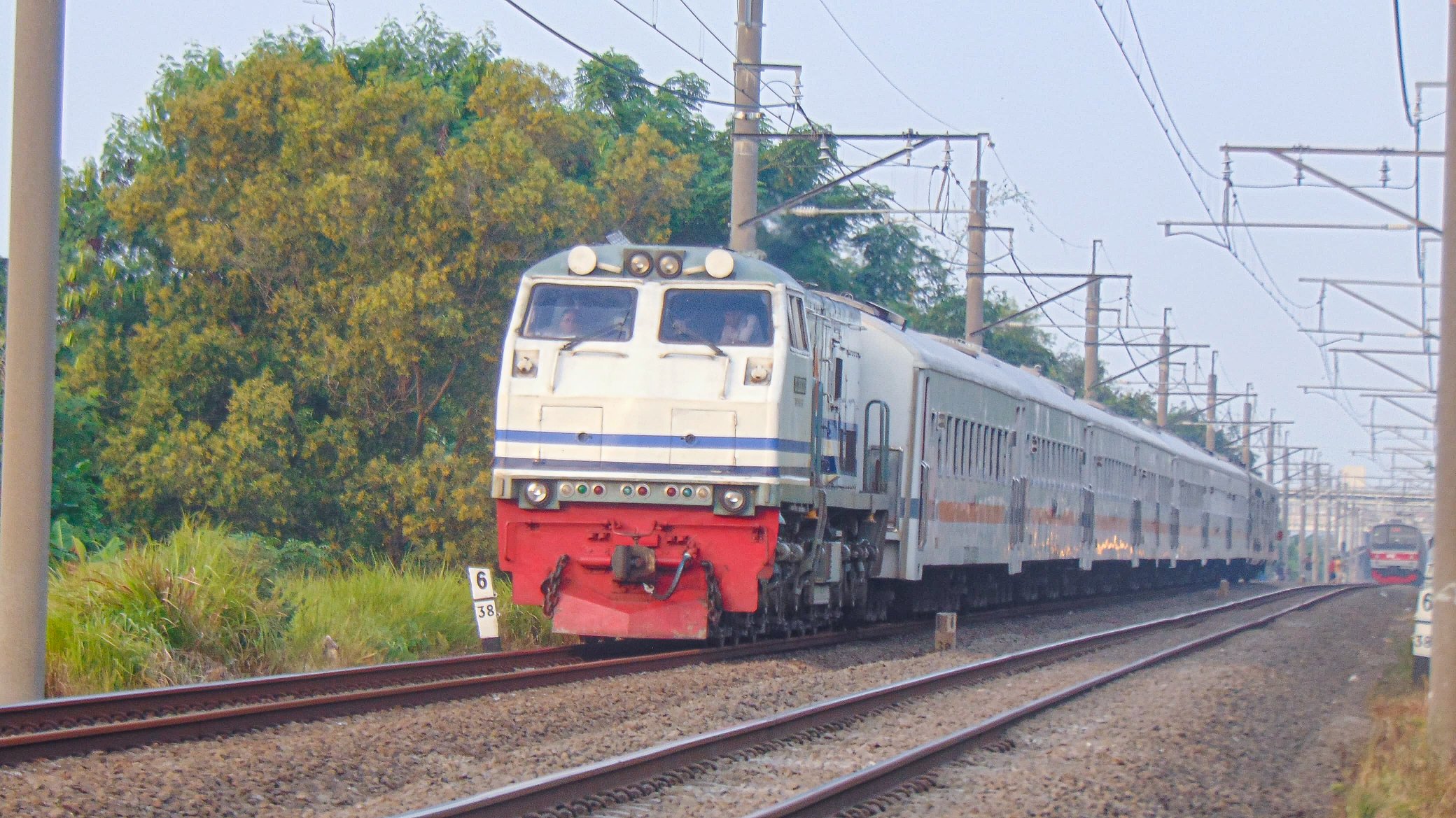 Sang badak asli pulau Jawa yang sedang berdinas kereta api serayu