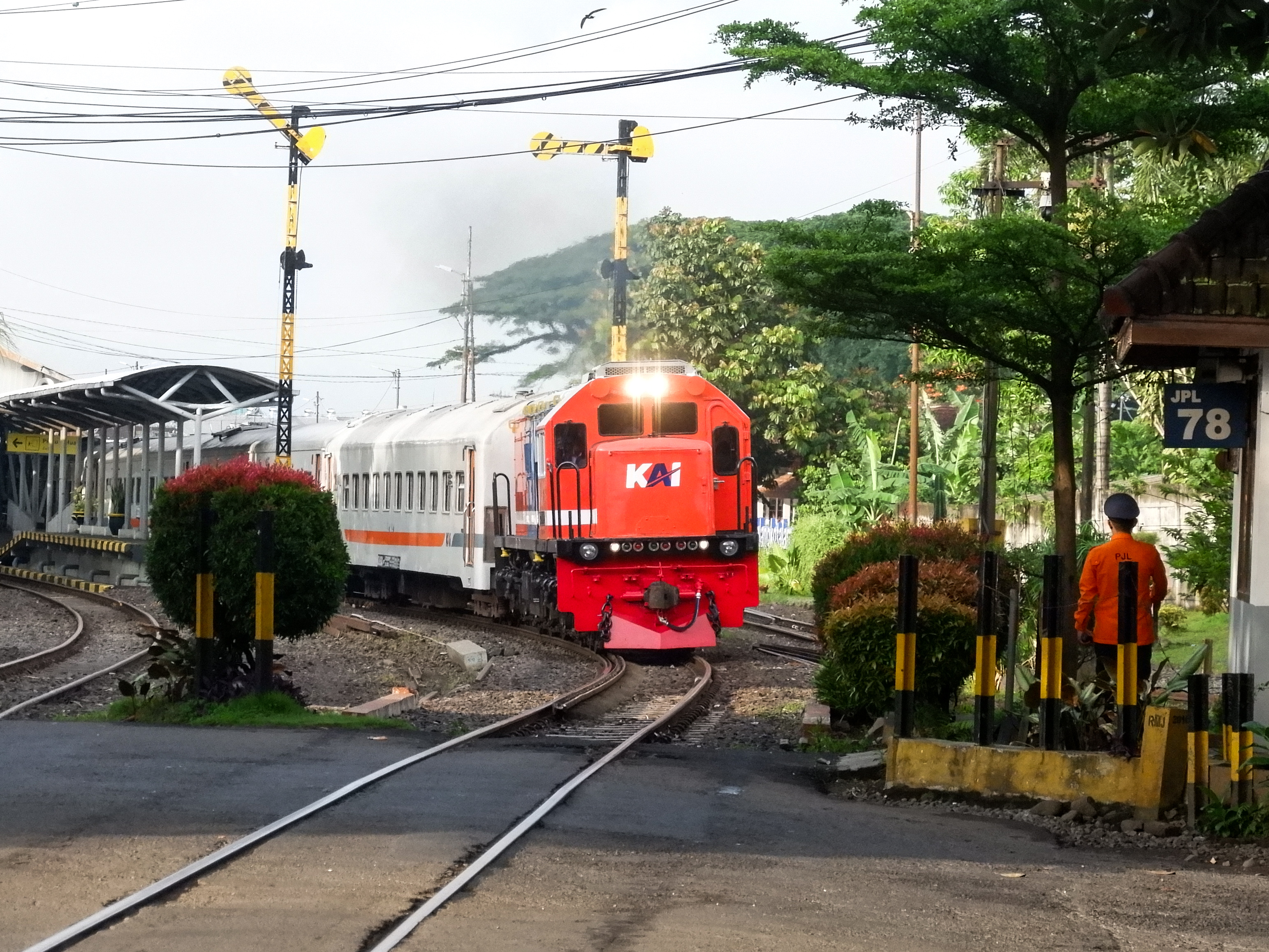 Red And Blue khas Jawa ✨️
