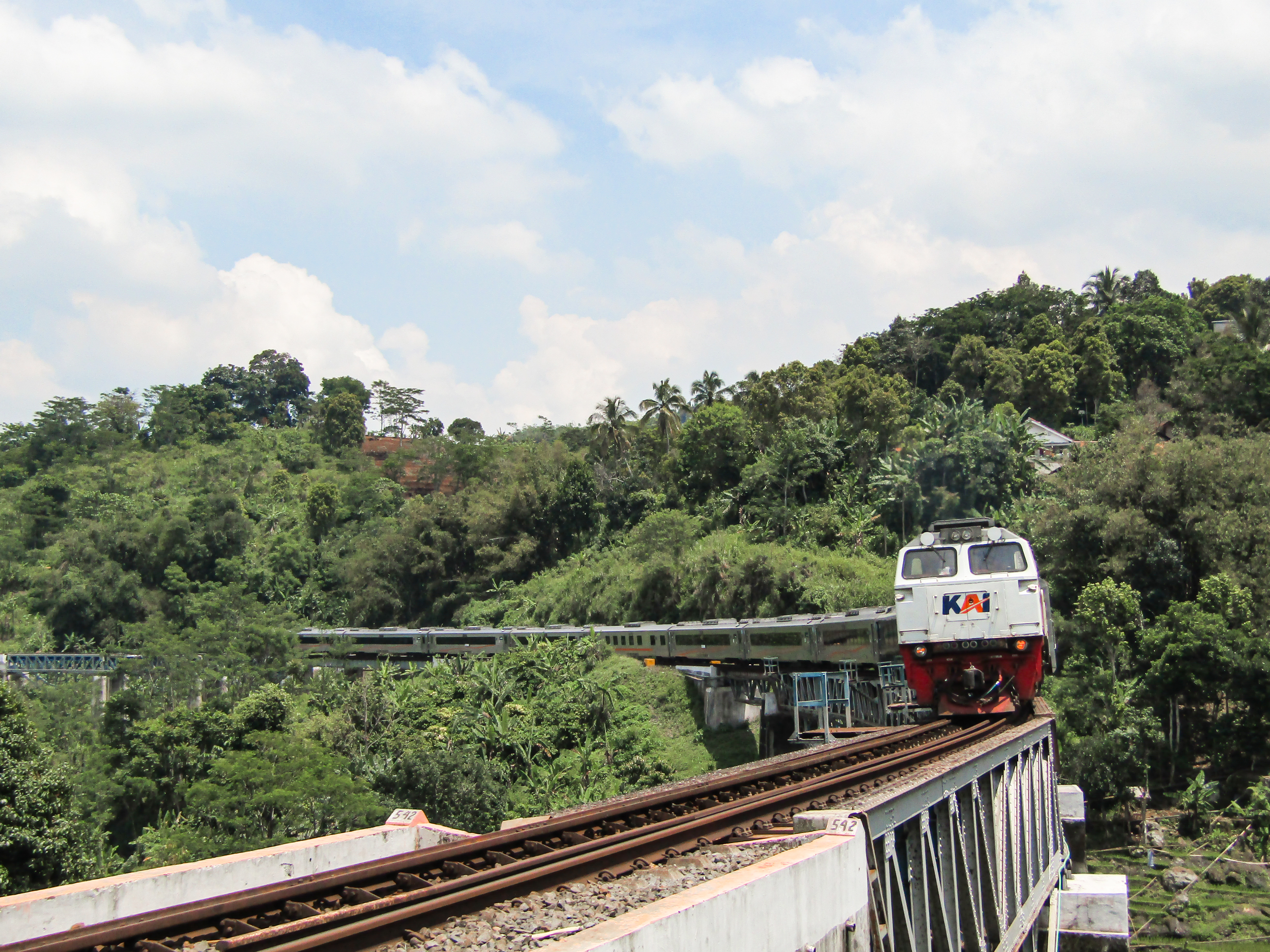 KA Papandayan melintas di tarengtong