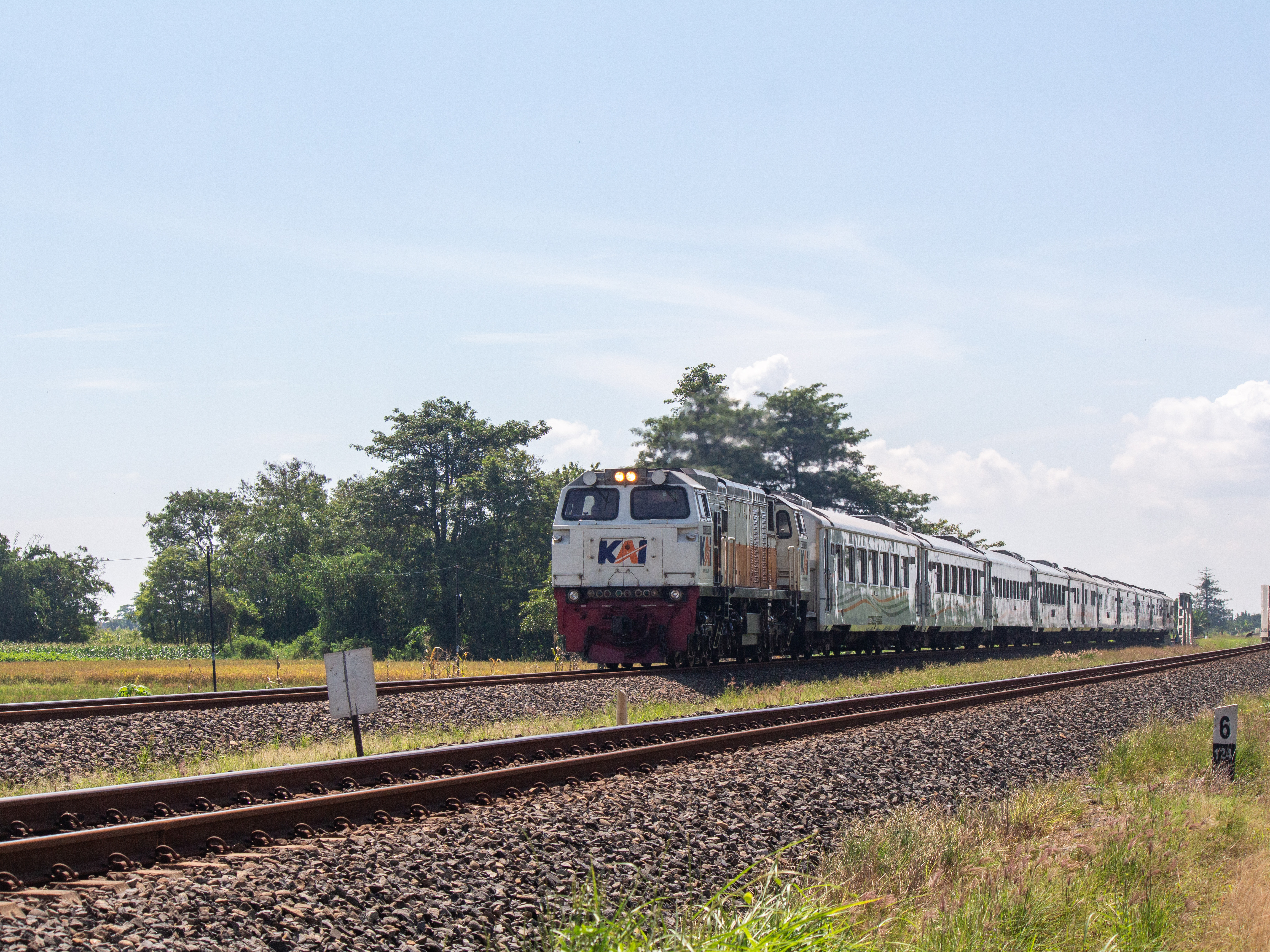kereta ciremai dan hamparan sawah di tegal