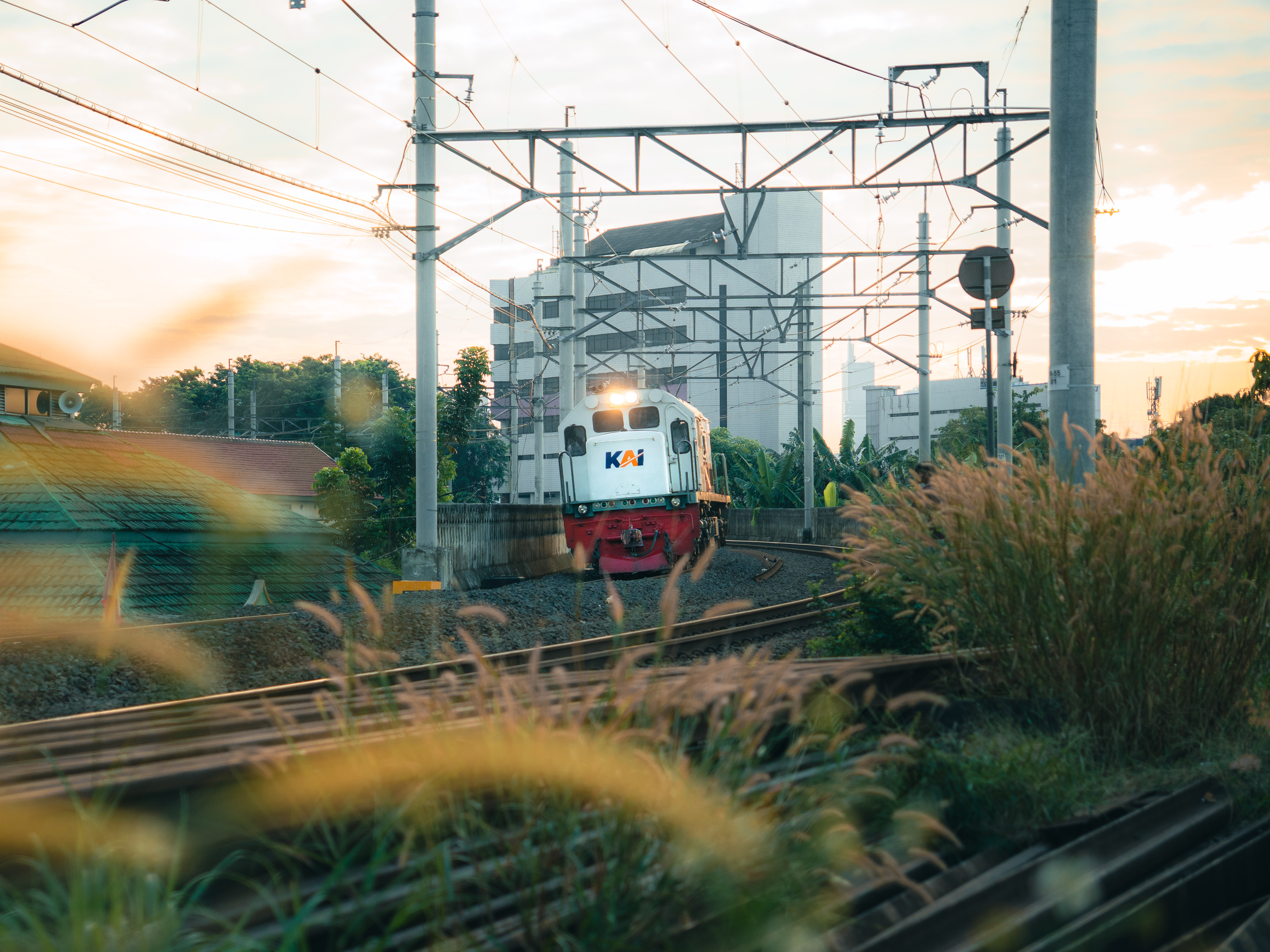 Di atas ilalang, di bawah kabel bertegangan, berjalan pulang sendirian.