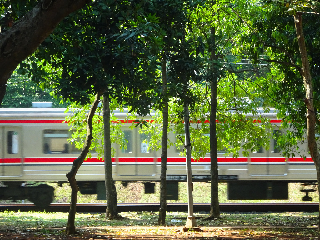 "Aksi Hijau di Balik Hijau Pepohonan"