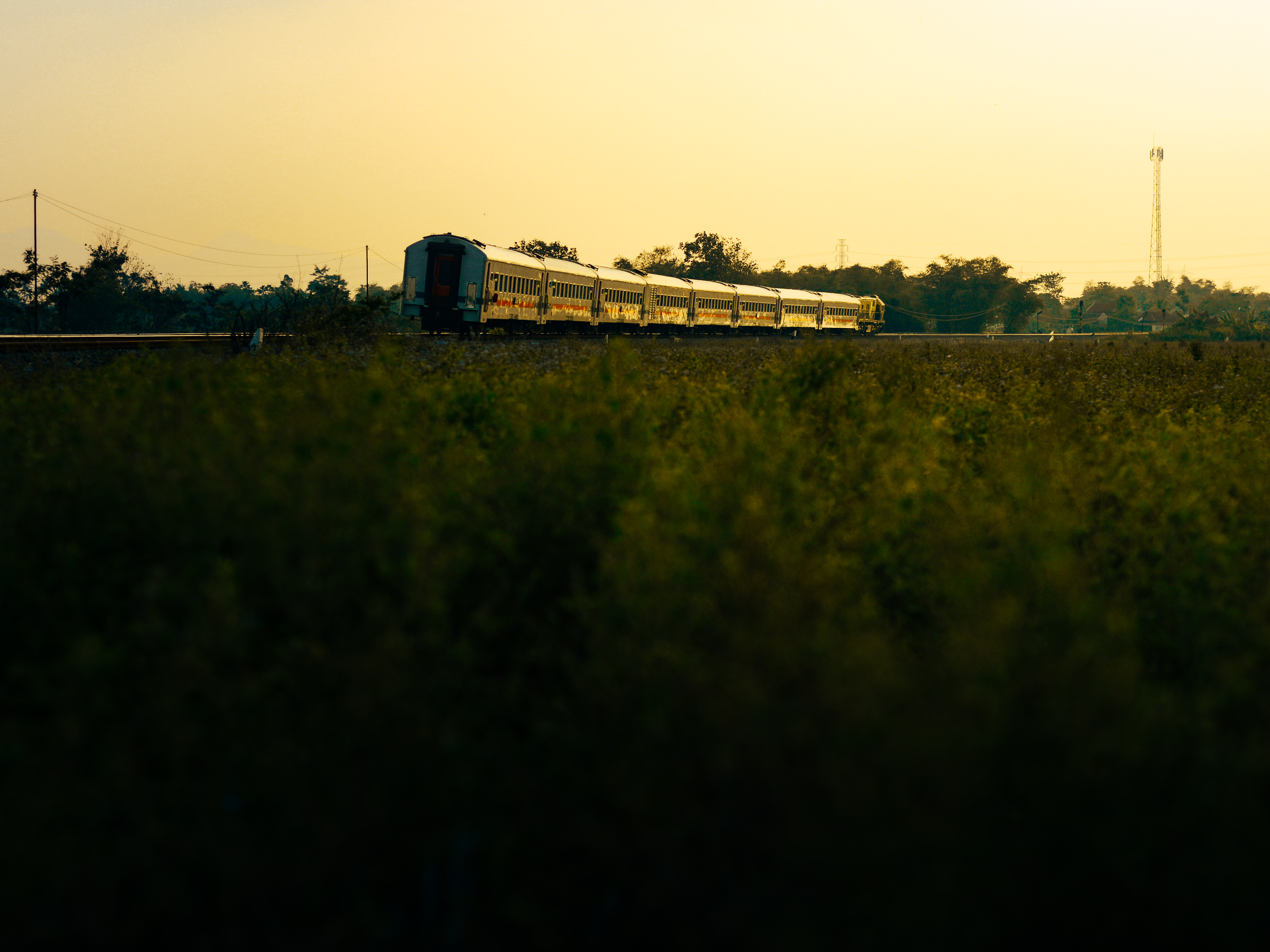 Goldie Kutojaya Selatan