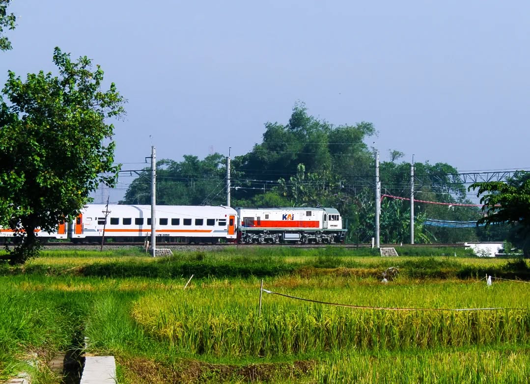 Roda Baja Mendesit Di Persawahan