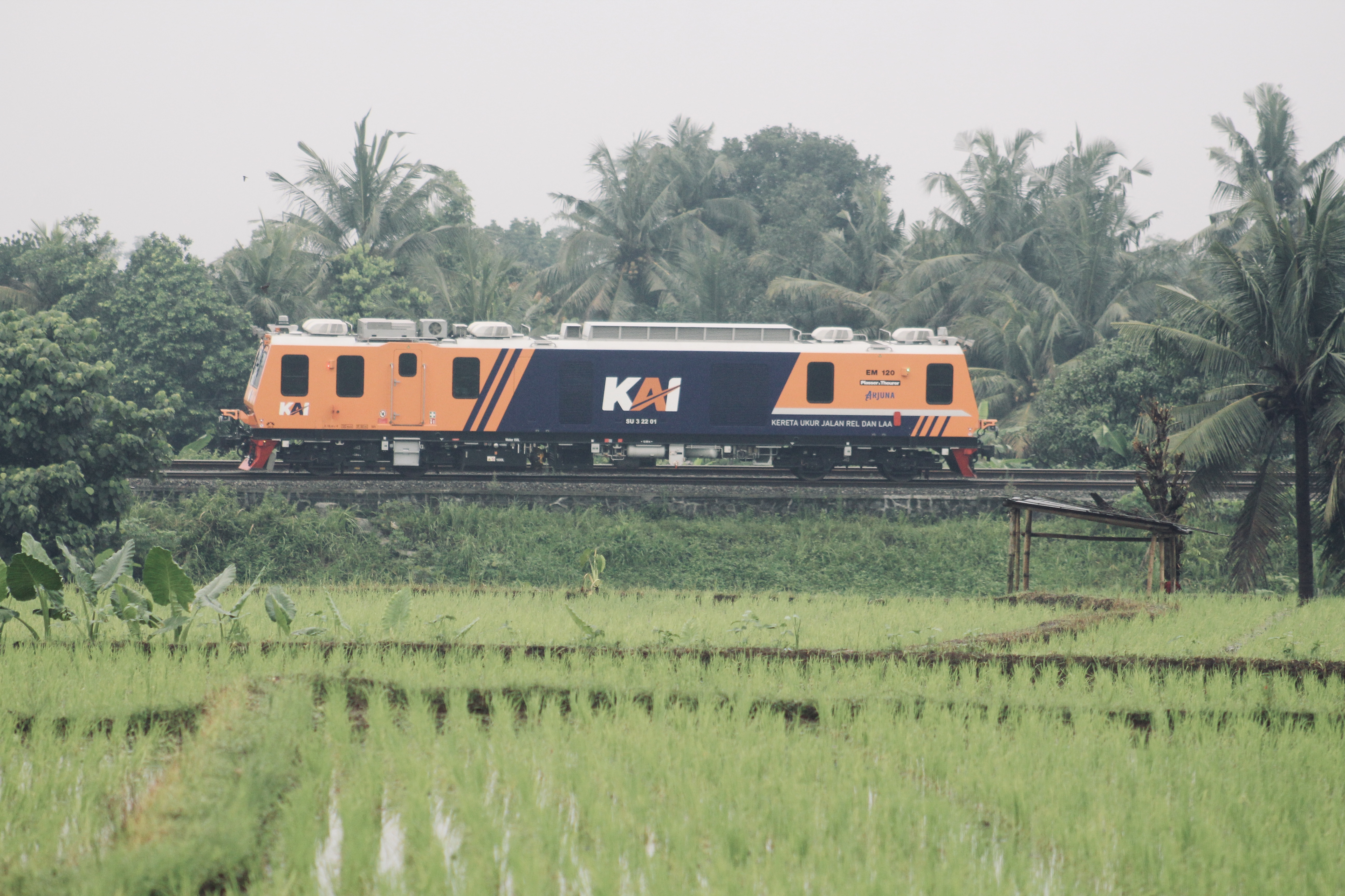 Keindahan sawah & KUJRLAA