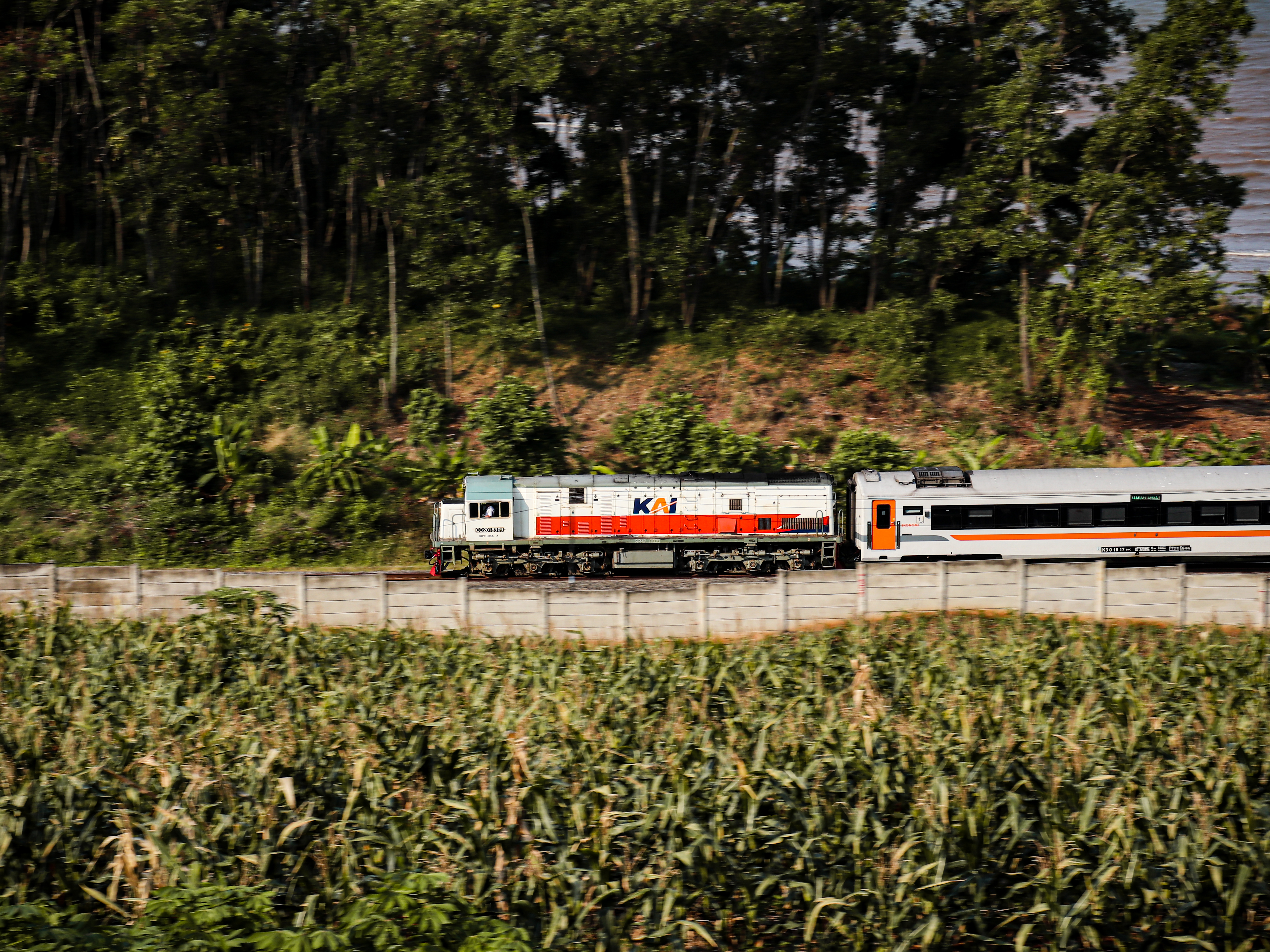Kereta Api Kaligung melewati indahnya jalur pantura di daerah stasiun Plabuan
