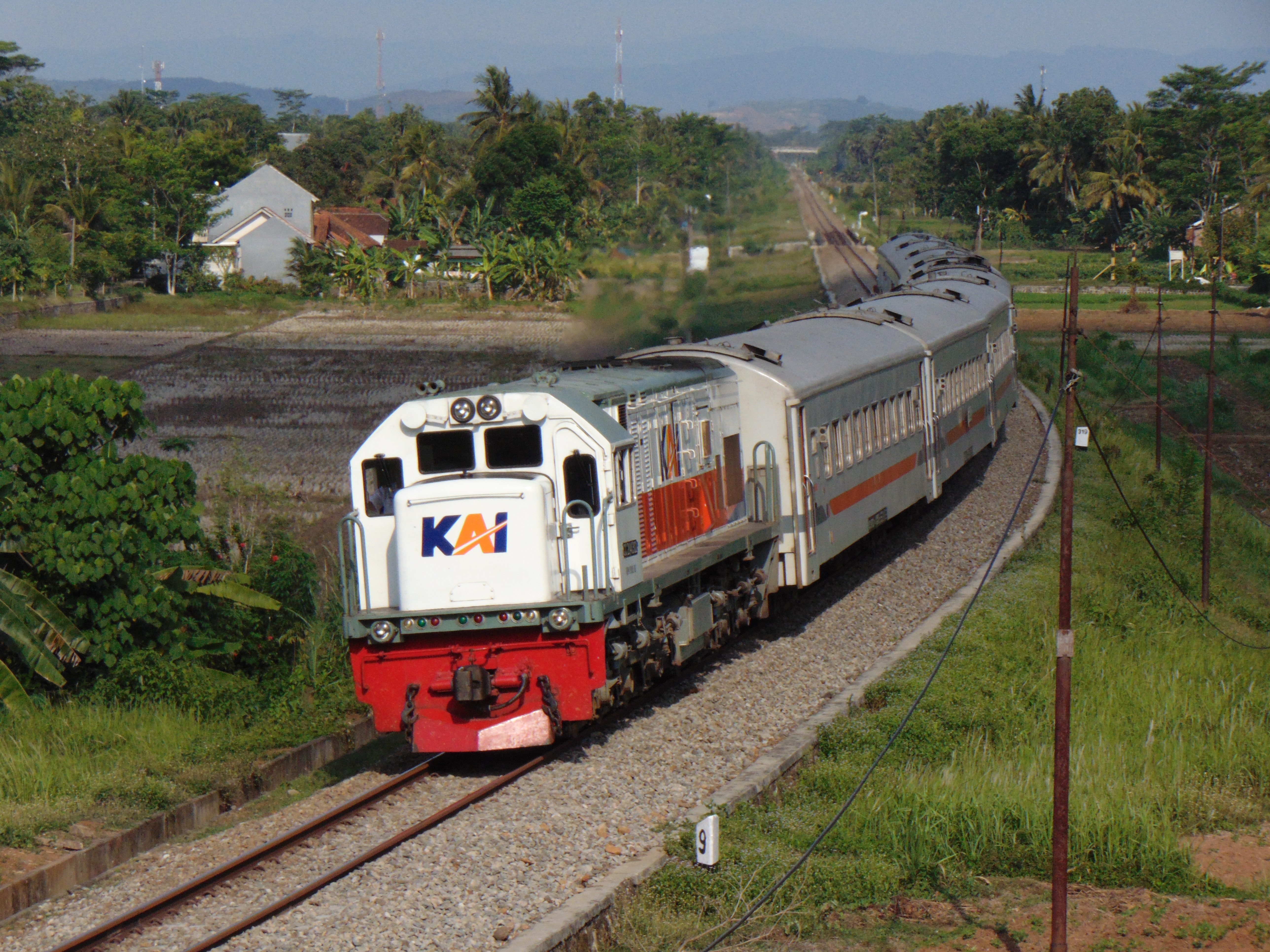 KA Kutojaya Selatan Melewati Persawahan
