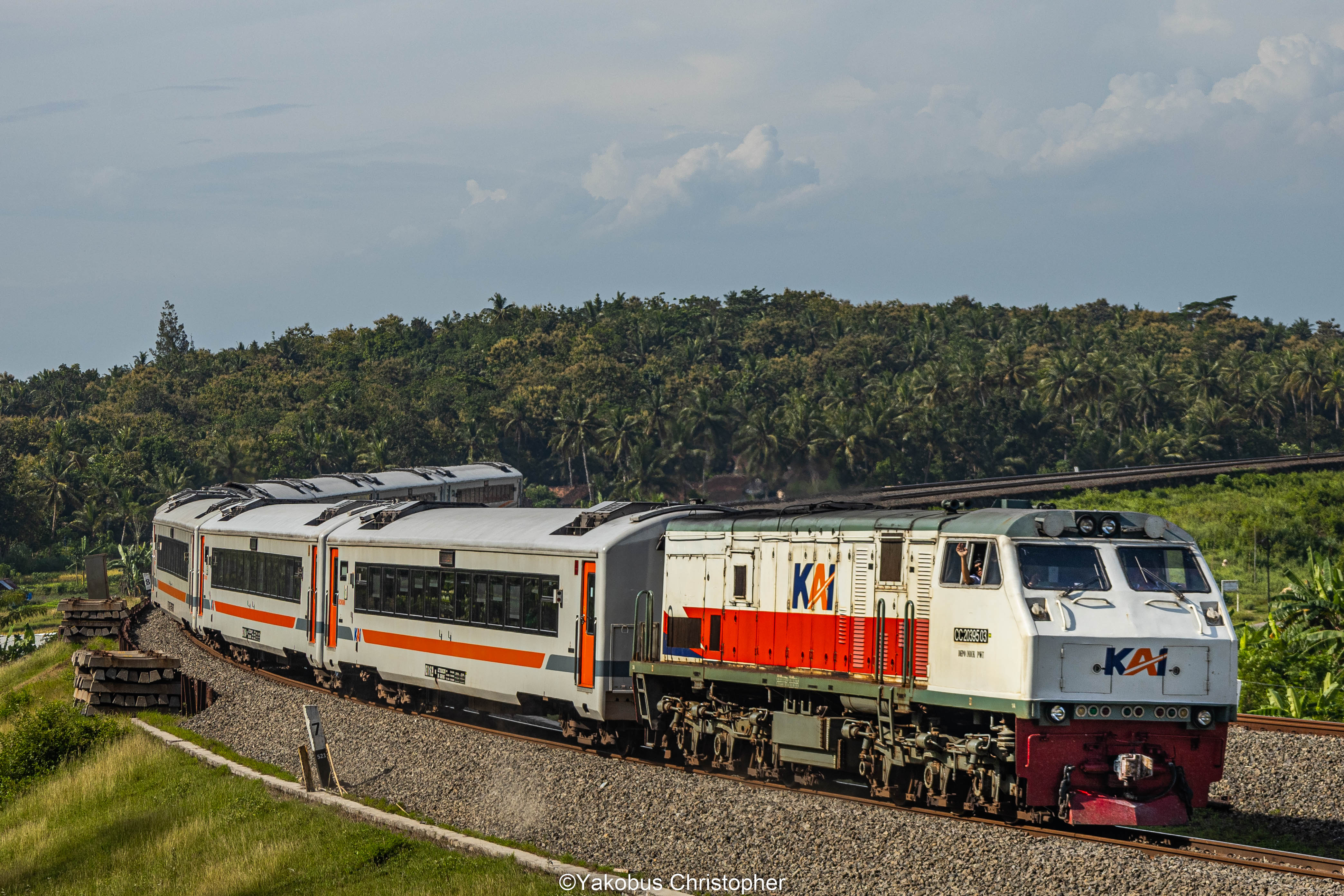 CC 203 95 03 - Depo PWT Lokomotif CC 203 95 03  di Depo Induk PWT - Purwokerto