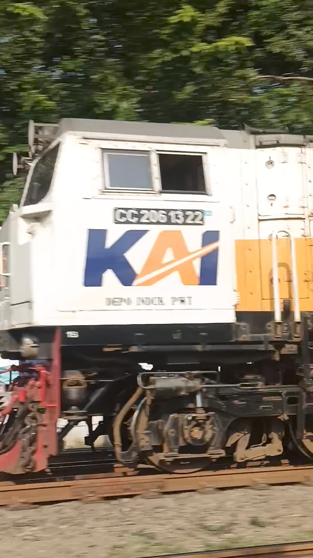 cc 206 13 22