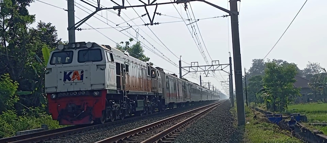 CC 206 13 85 - Lodaya