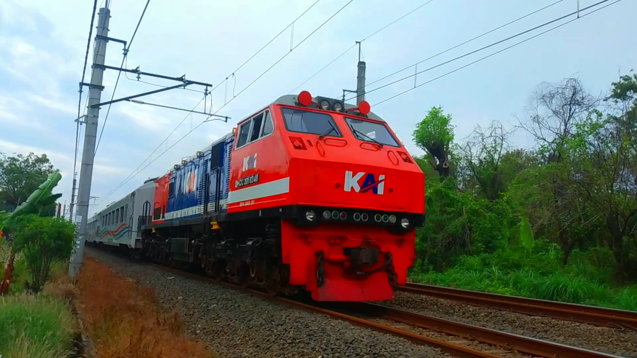 CC 201 83 48 SDT