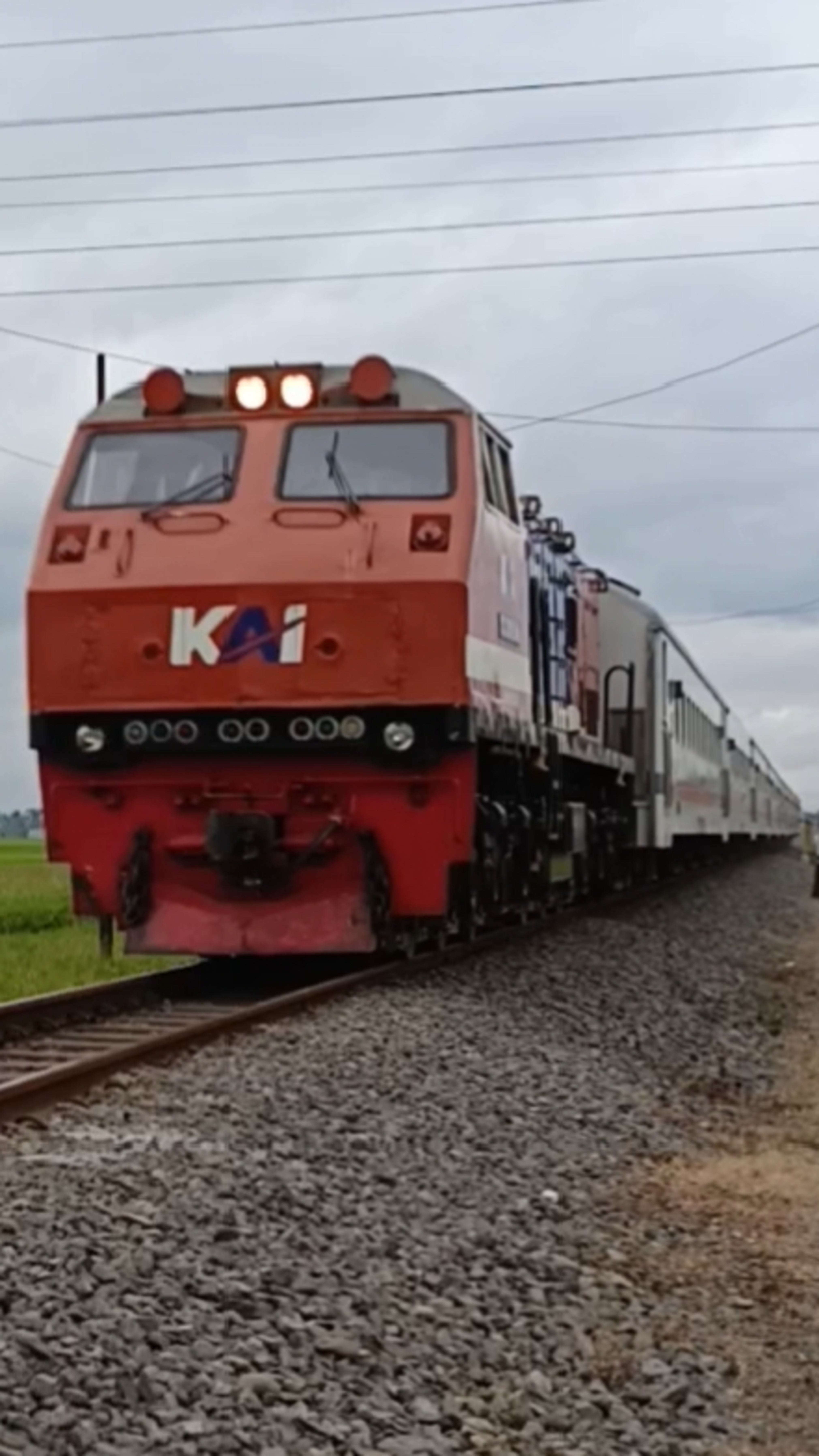 CC 201 83 48/CC 201 129R