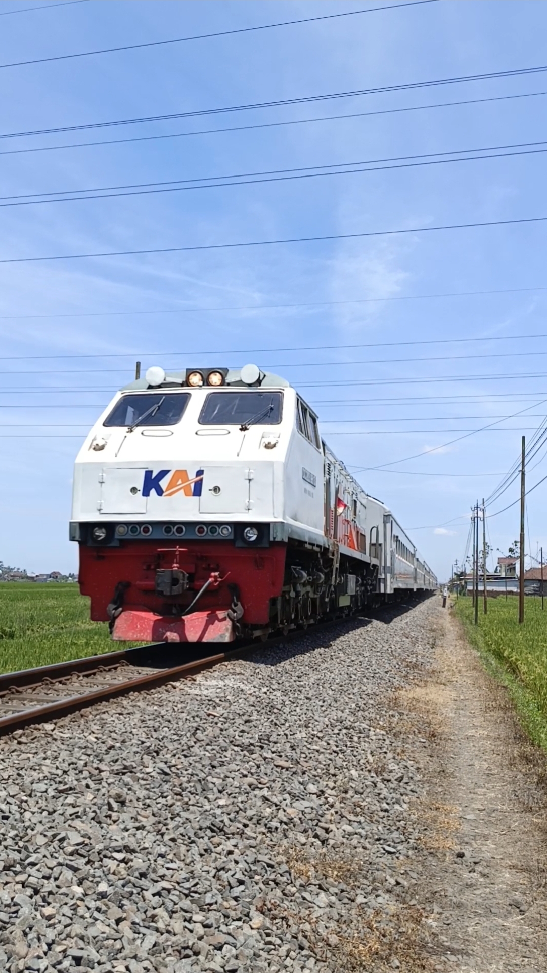 CC 203 98 13