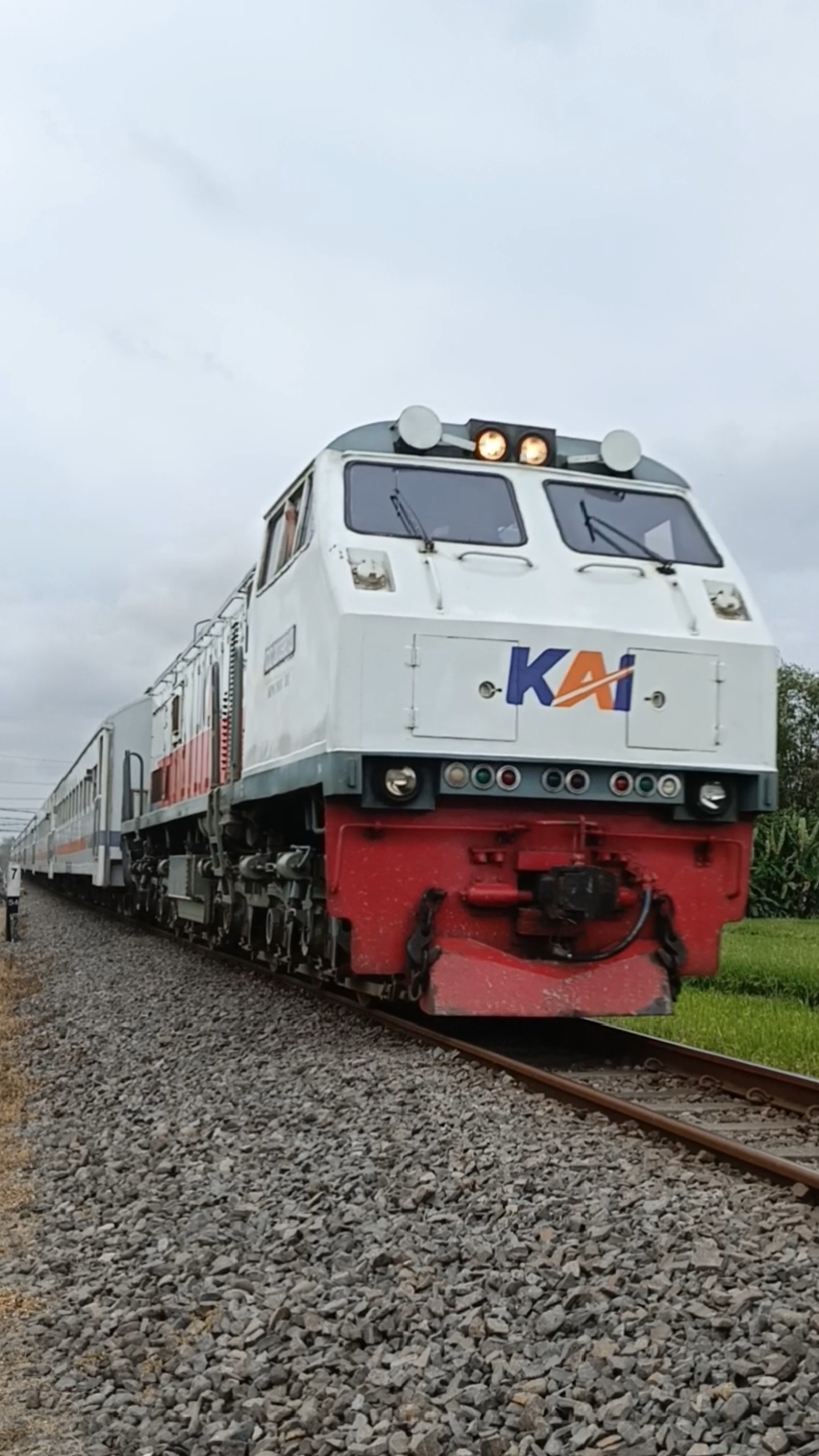 CC 203 98 13 SDT