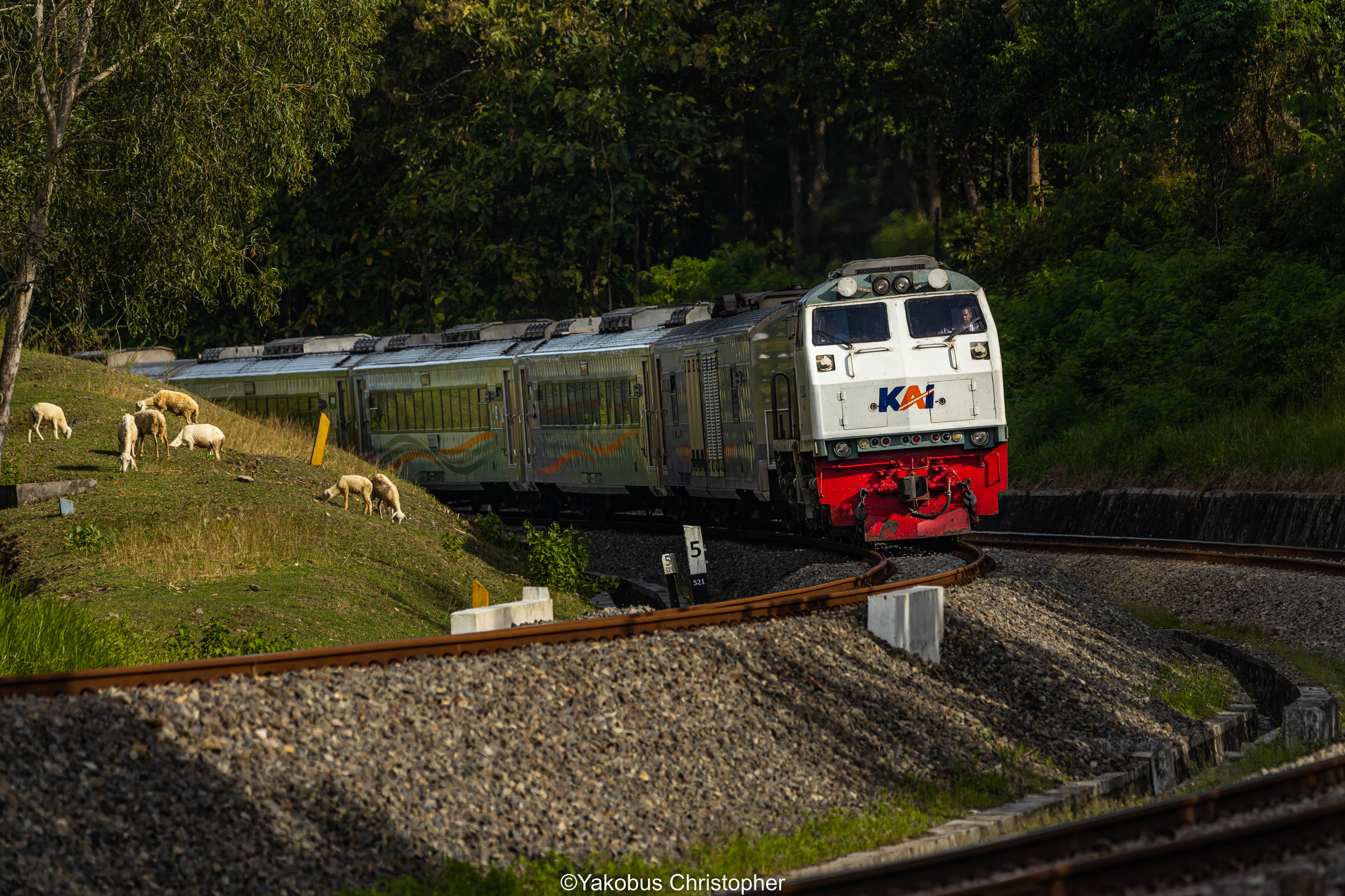 CC 203 98 14 melintas kelok mertan, kulon progo