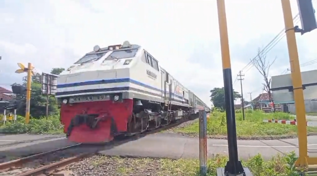 CC 203 02 03 SDT (CC203 40)