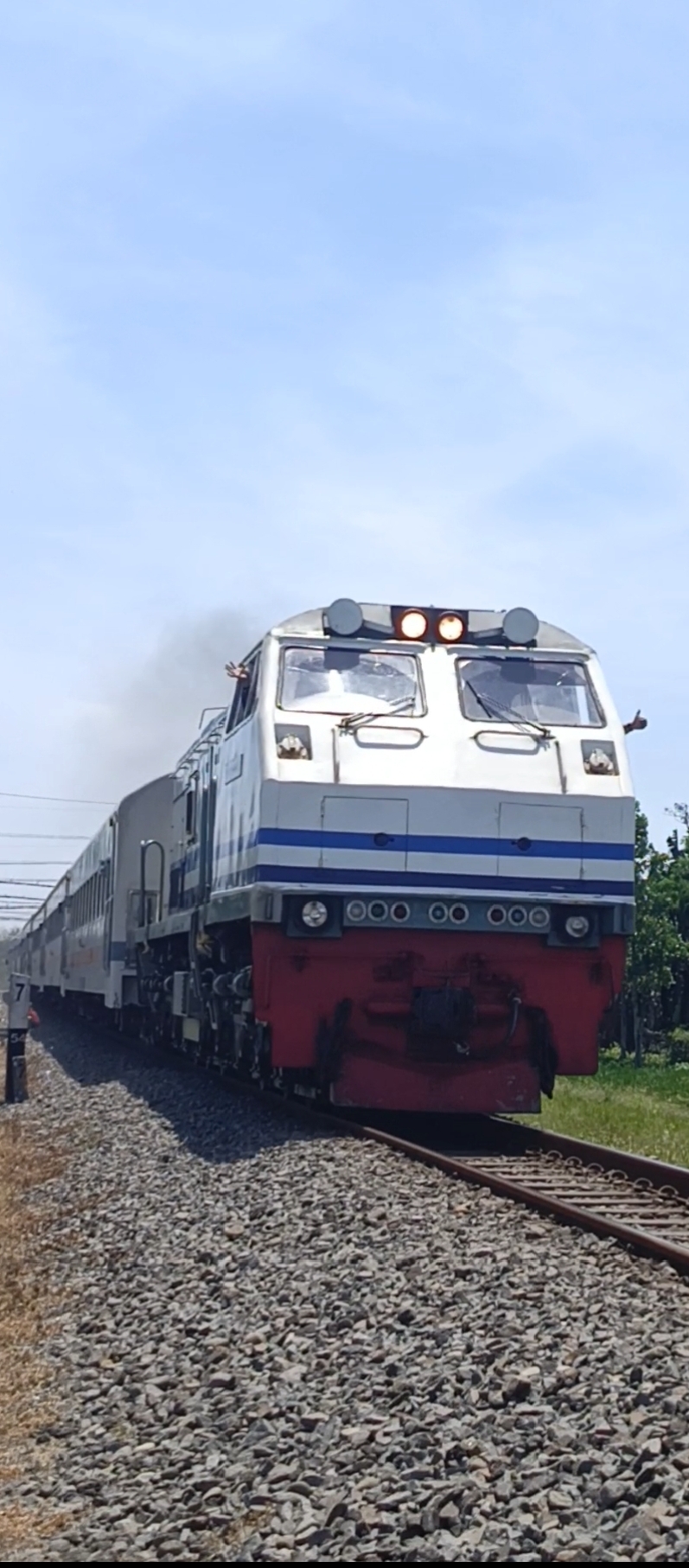 CC 203 02 03/CC 203 40 SDT