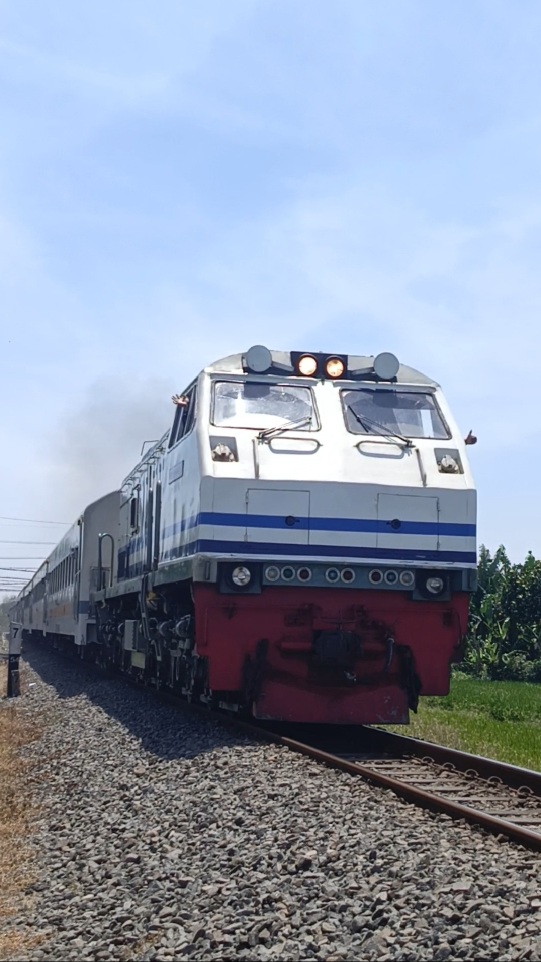 CC 203 02 03/CC 203 40 SDT