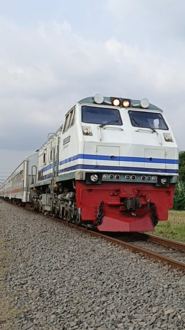 CC 203 02 03/CC 203 40 SDT