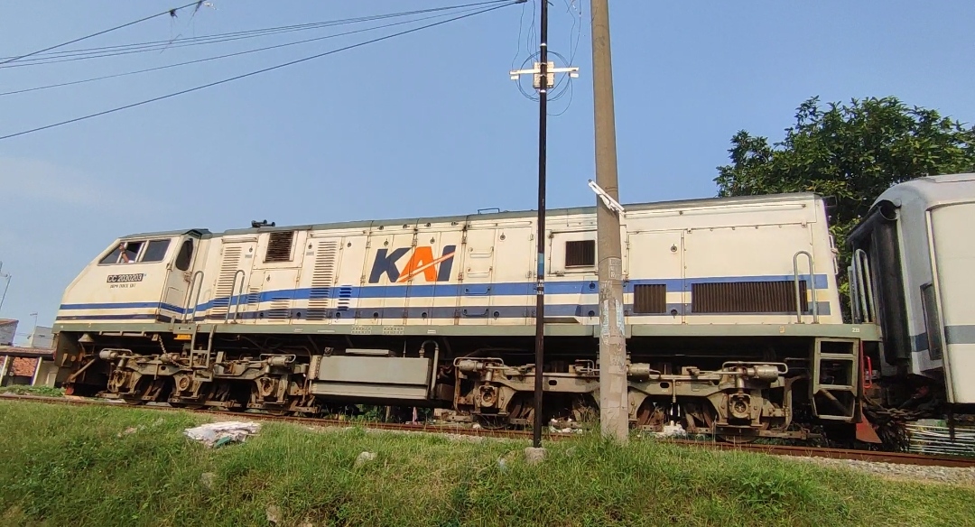 White And Blue (WNB)